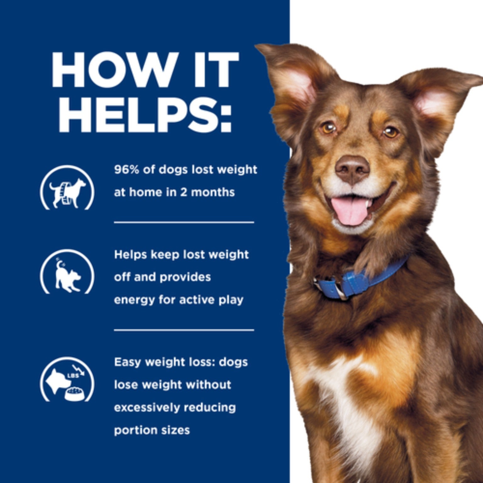 Hill’s prescription Metabolic weight loss & maintenance 4kg