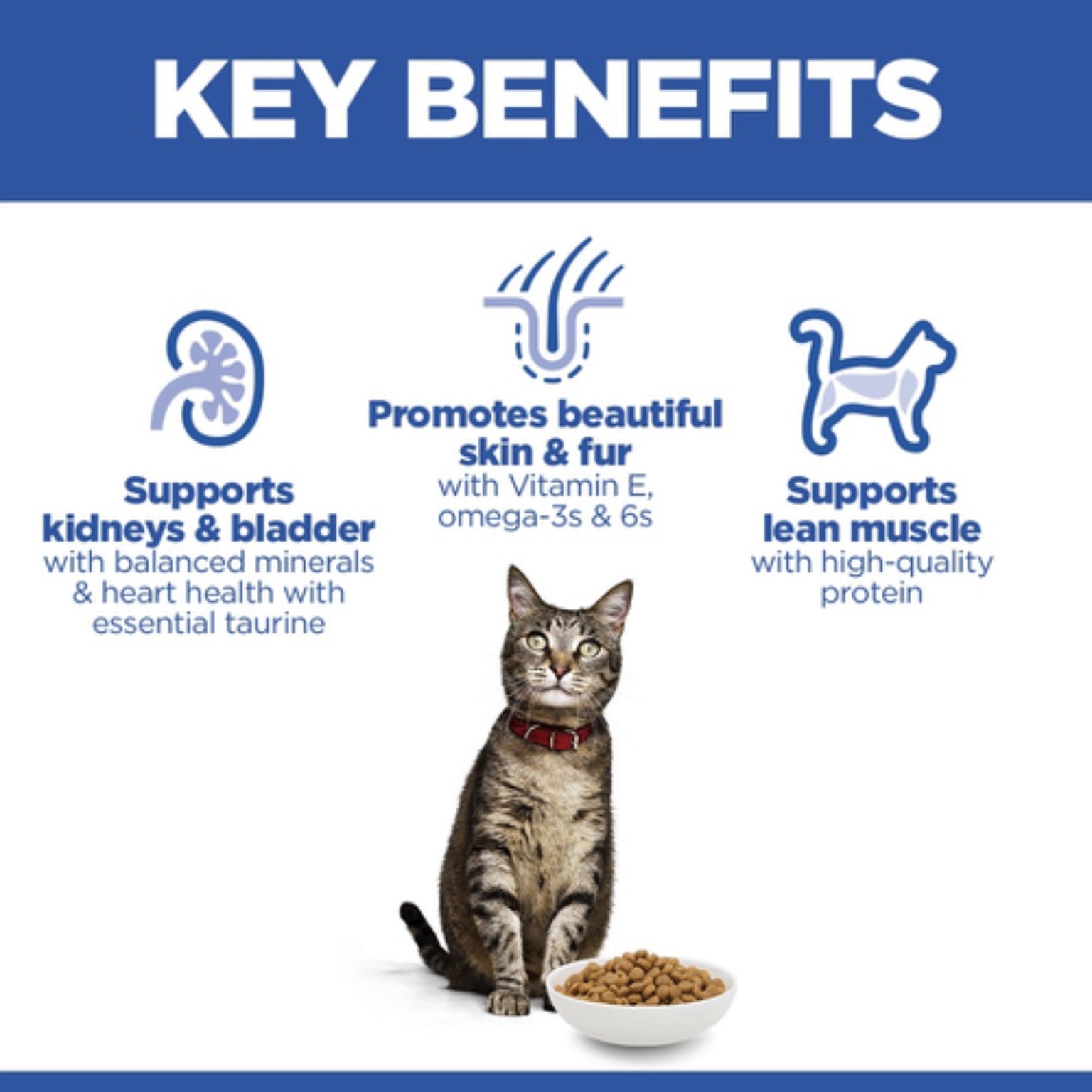 Hill’s Science Plan Adult cat food with salmon 3kg