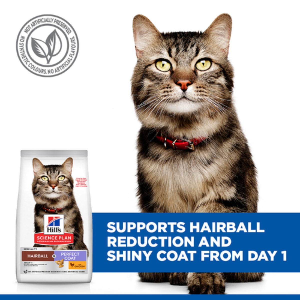 Hill’s Science Plan
Hairball & perfect
coat adult cat food
with chicken 1.5kg