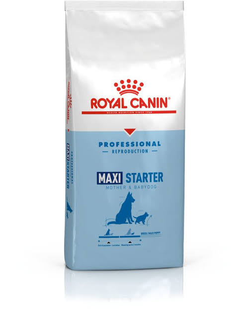 Royal Canin Maxi Starter Mother and Babydog (18KG) - Dry food for large puppies - Adult weight between 26 and 44 KG. Mother during gestation and lactation - Weaning puppies up to 2 months