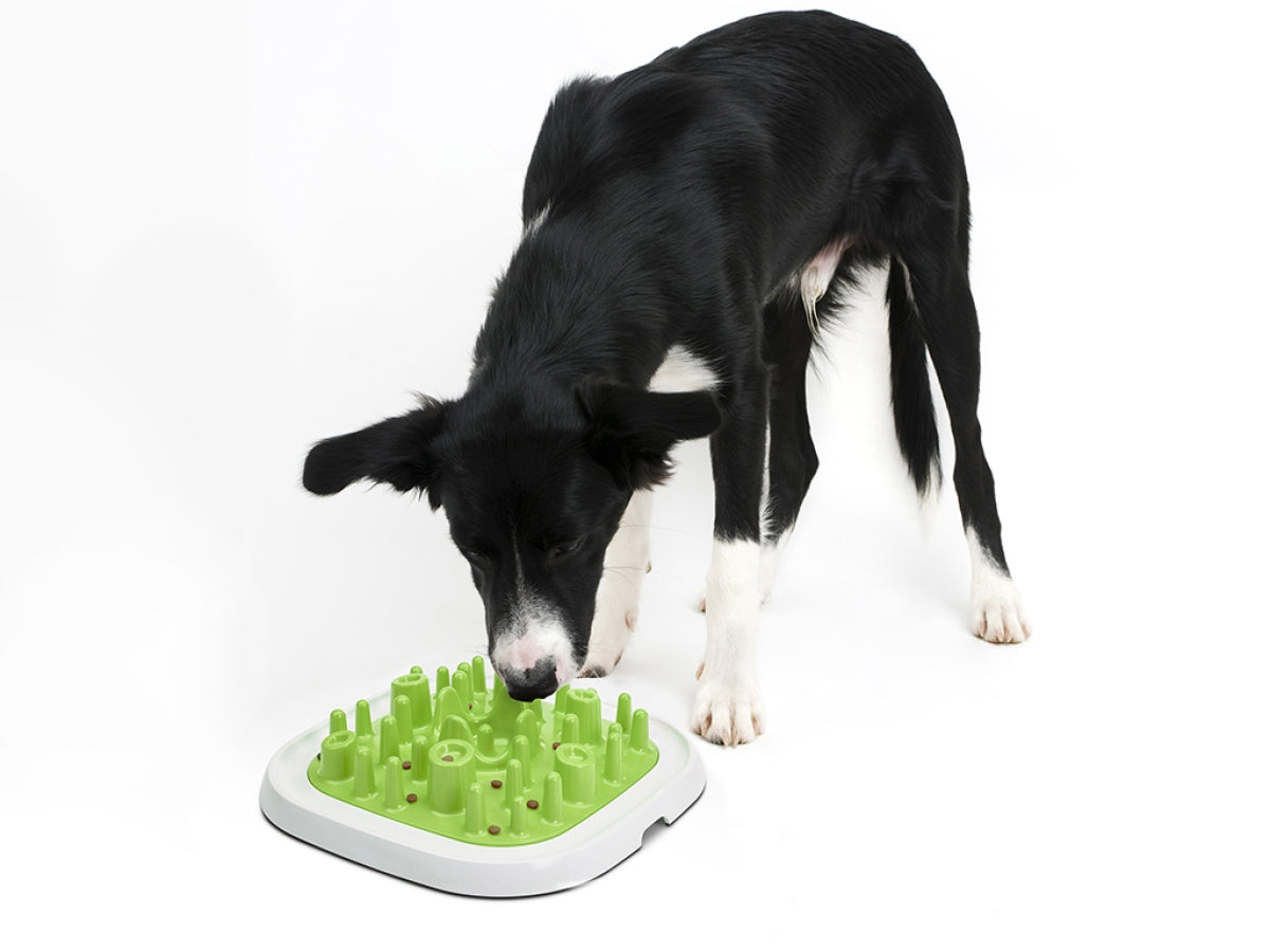 Savic Pet Enigma | Slow Feeder – Large 20