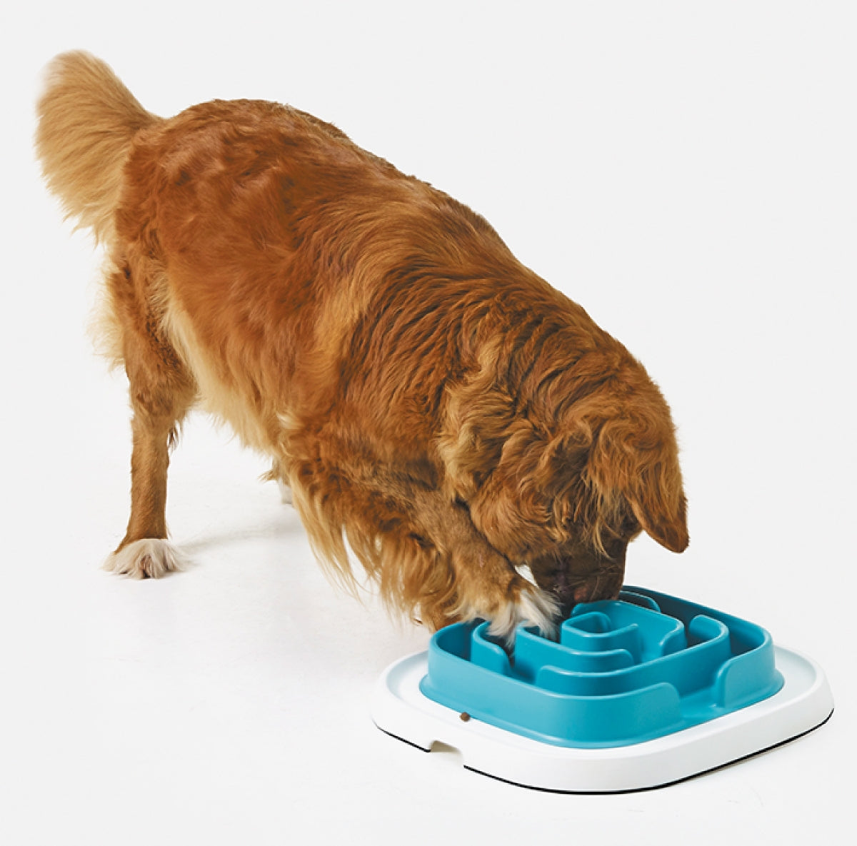 Savic Pet Enigma | Slow Feeder – Large 21