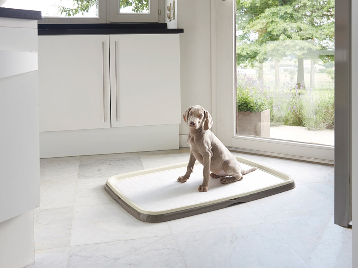 Savic Puppy Trainer Starter Kit XL 90*60 | Extra-Large Absorbent Training Pads & Tray
