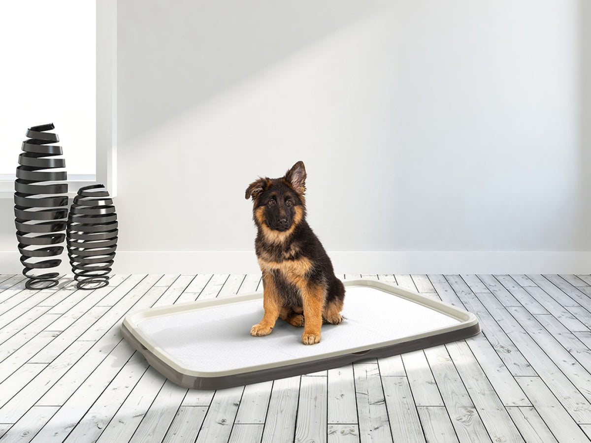 Savic Puppy Trainer Starter Kit XL 90*60 | Extra-Large Absorbent Training Pads & Tray