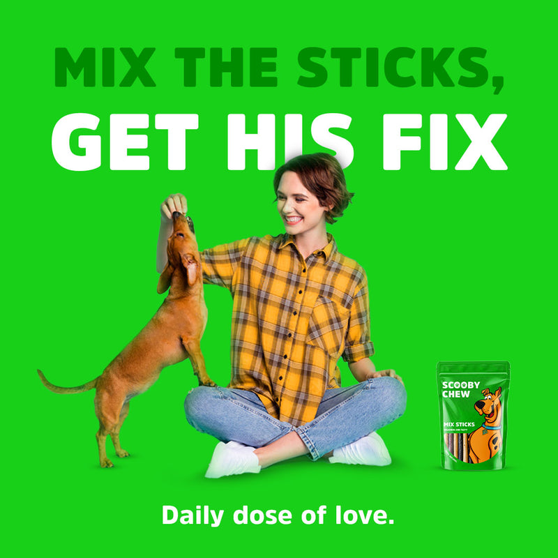 Scooby Chew with Mix Sticks Dog Treats 120 g