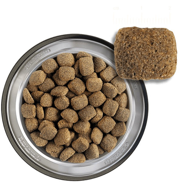 BELCANDO Junior Maxi 22kg