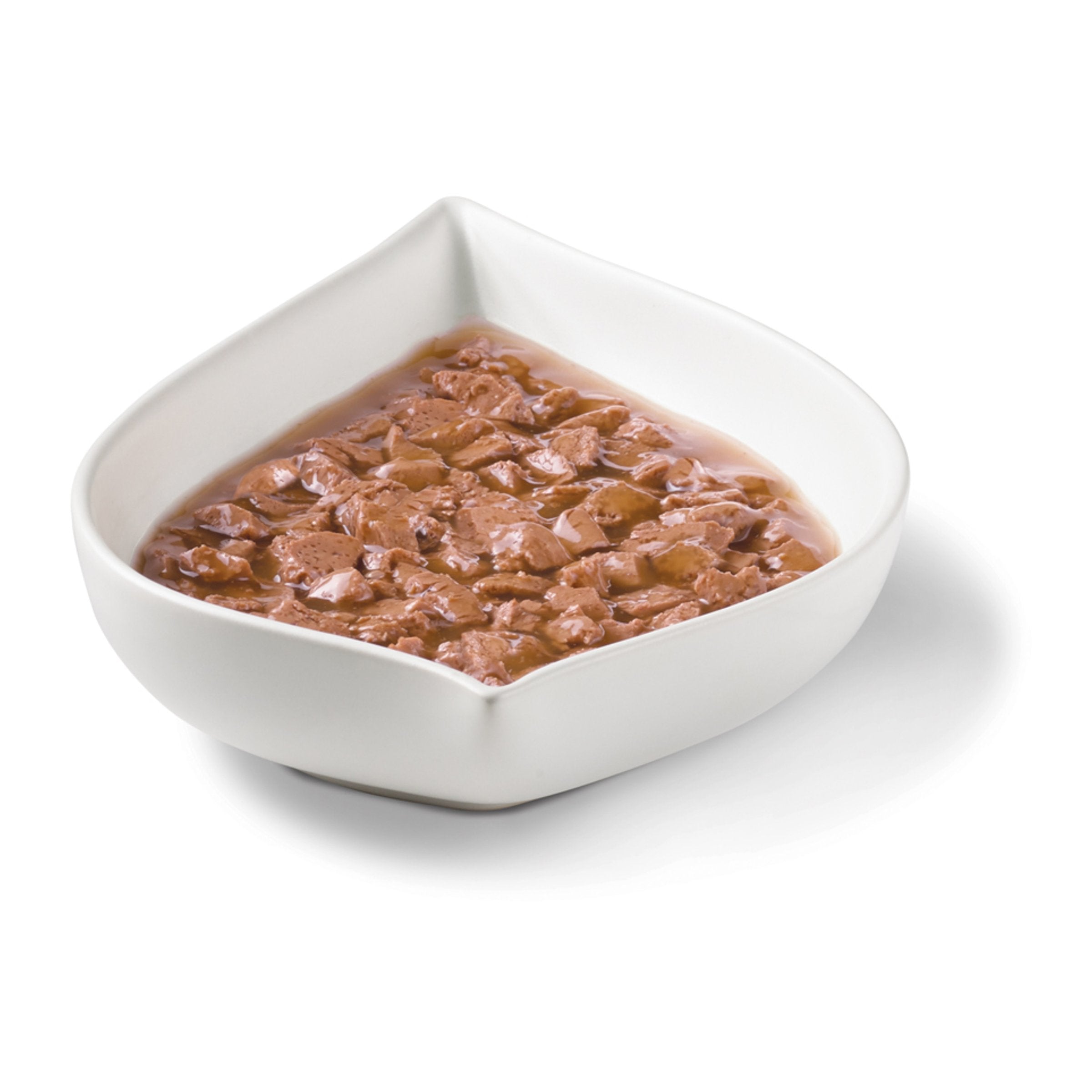 PURINA FANCY FEAST Gravy Lovers Salmon Feast in Seared Salmon Flavor Gravy 85g - Amin Pet Shop