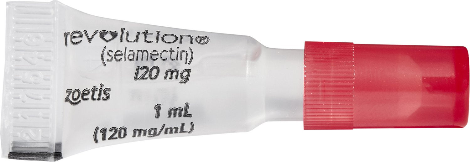 Revolution Topical Solution for Dogs, 20.1-40 lbs - 1 Pipette(Red Box)