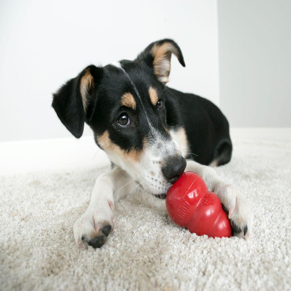 KONG® Classic - Amin Pet Shop