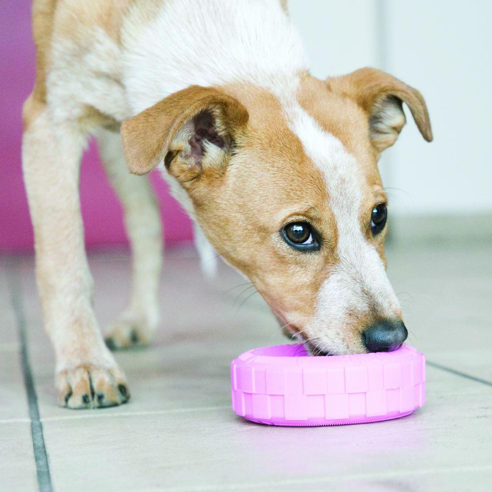 KONG® Puppy Tires Medium/Large - Amin Pet Shop