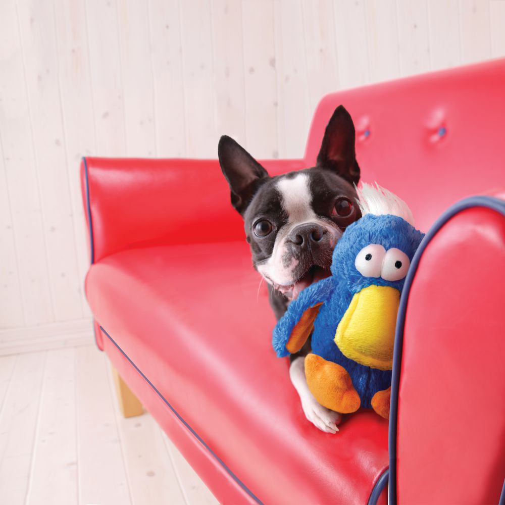 KONG® Bird Dog Toy - Dodo™ Medium