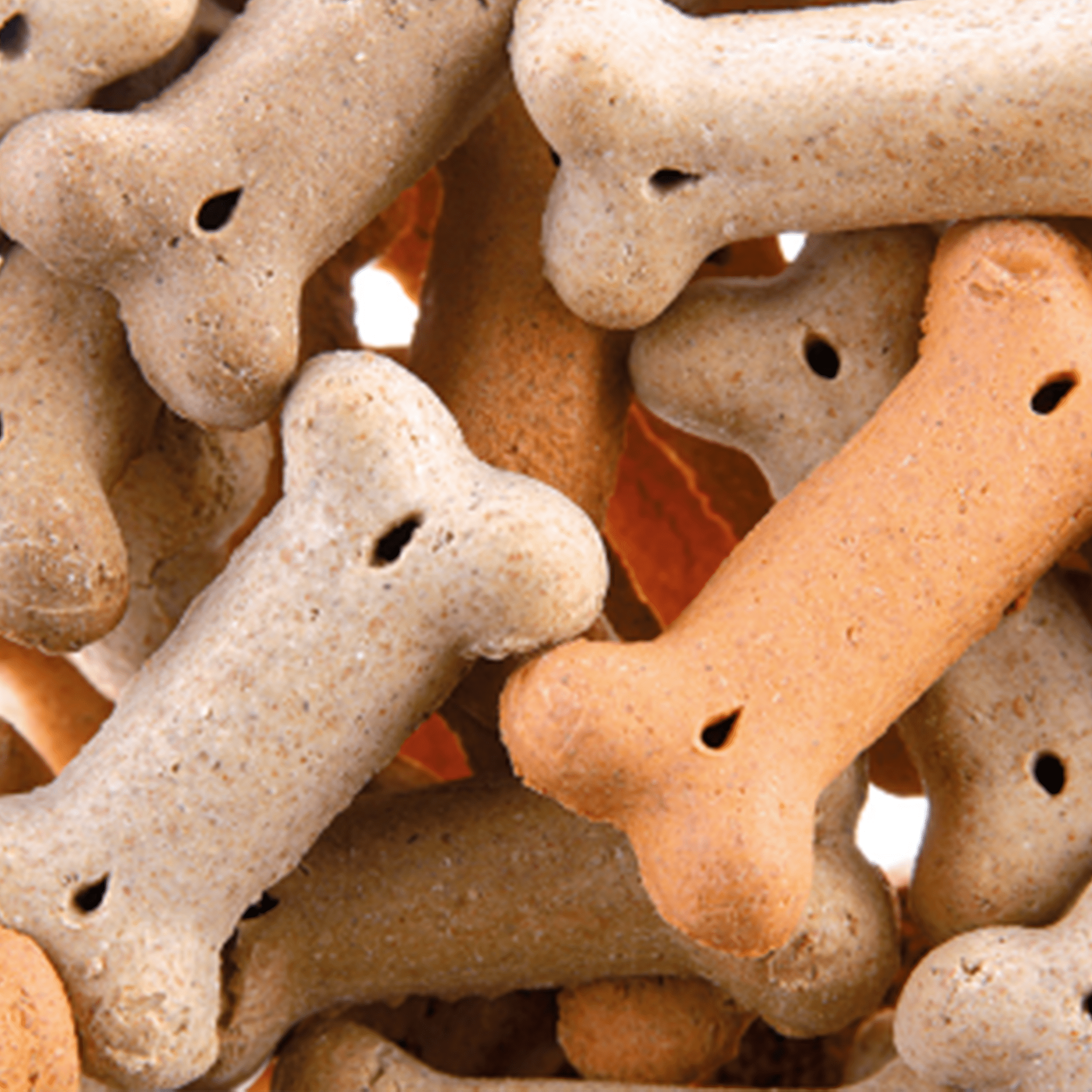 Perfecto Dog Bunte Knochen 400g