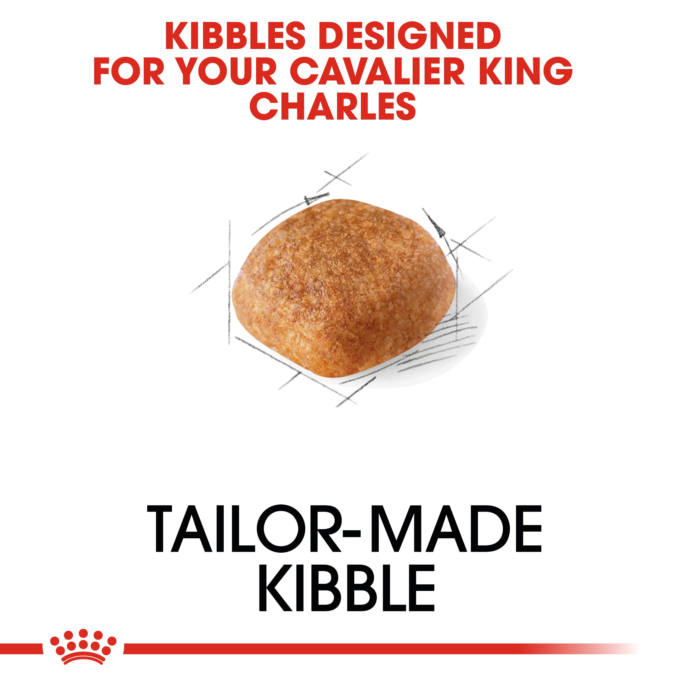 Royal Canin Cavalier King Charles Adult (3KG) - Dry food for adult dogs over 10 months