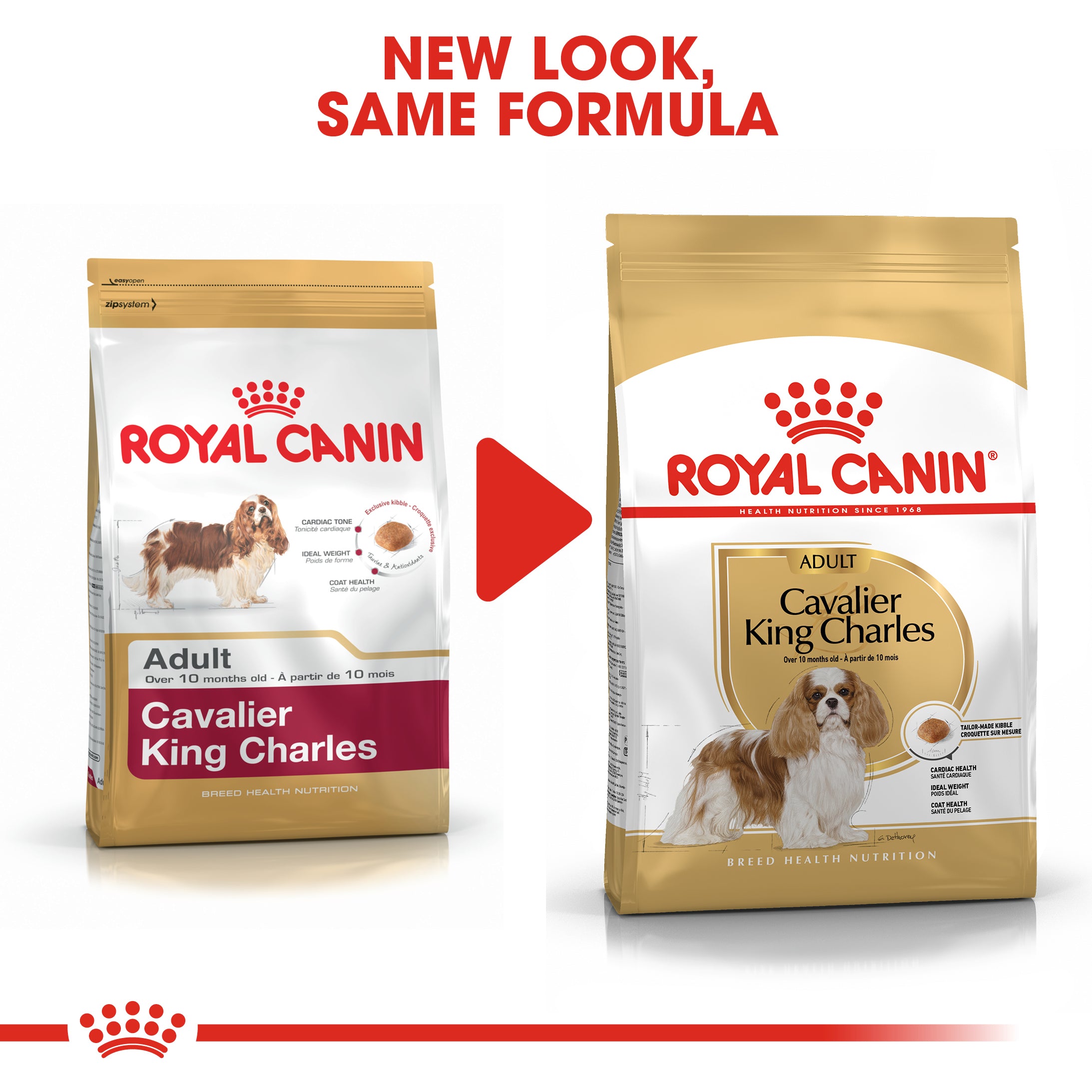 Royal Canin Cavalier King Charles Adult (3KG) - Dry food for adult dogs over 10 months
