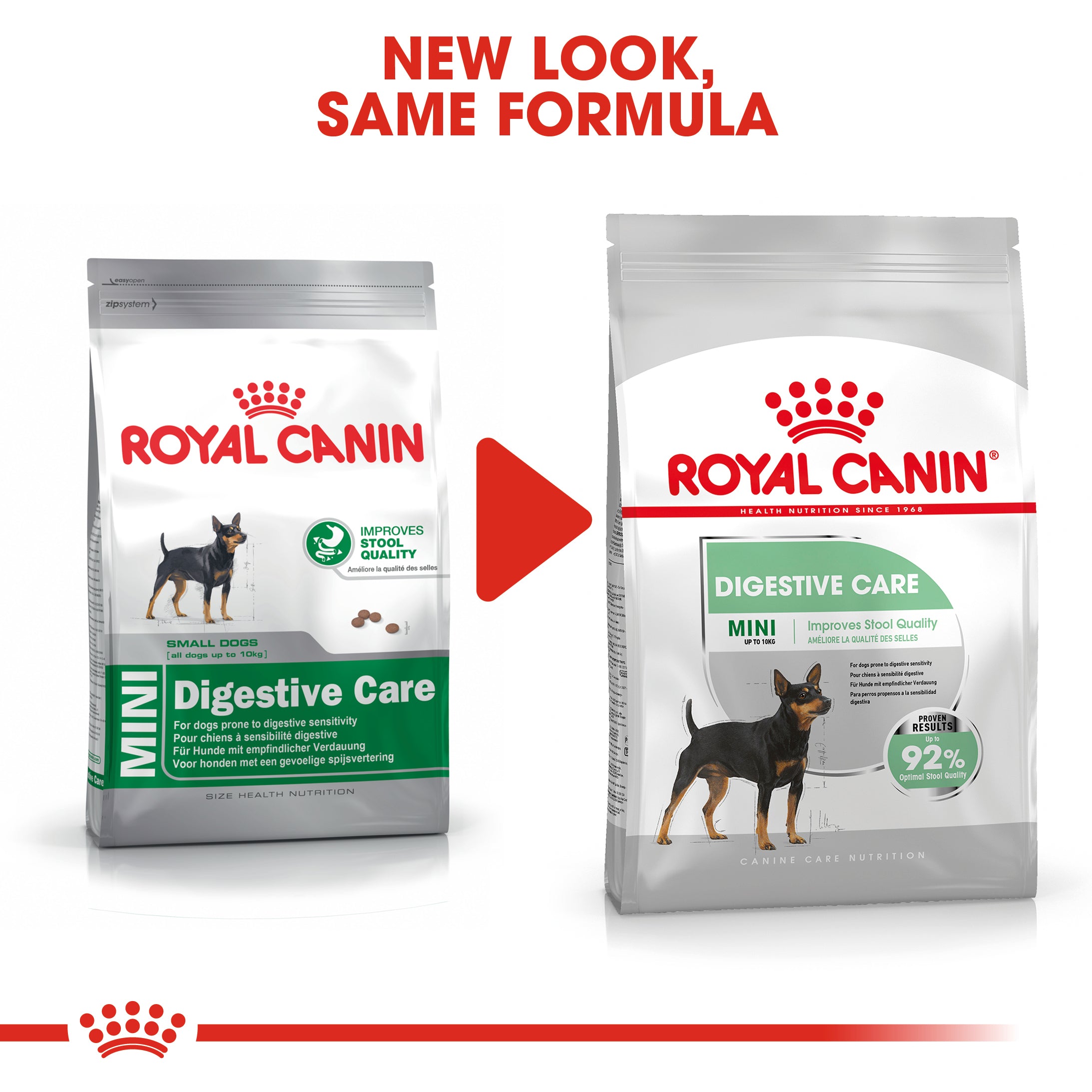 Royal Canin Mini Digestive Care (3 KG) - Dry food for small dogs up to 10 KG prone to digestive sensitivity. Over 10 months