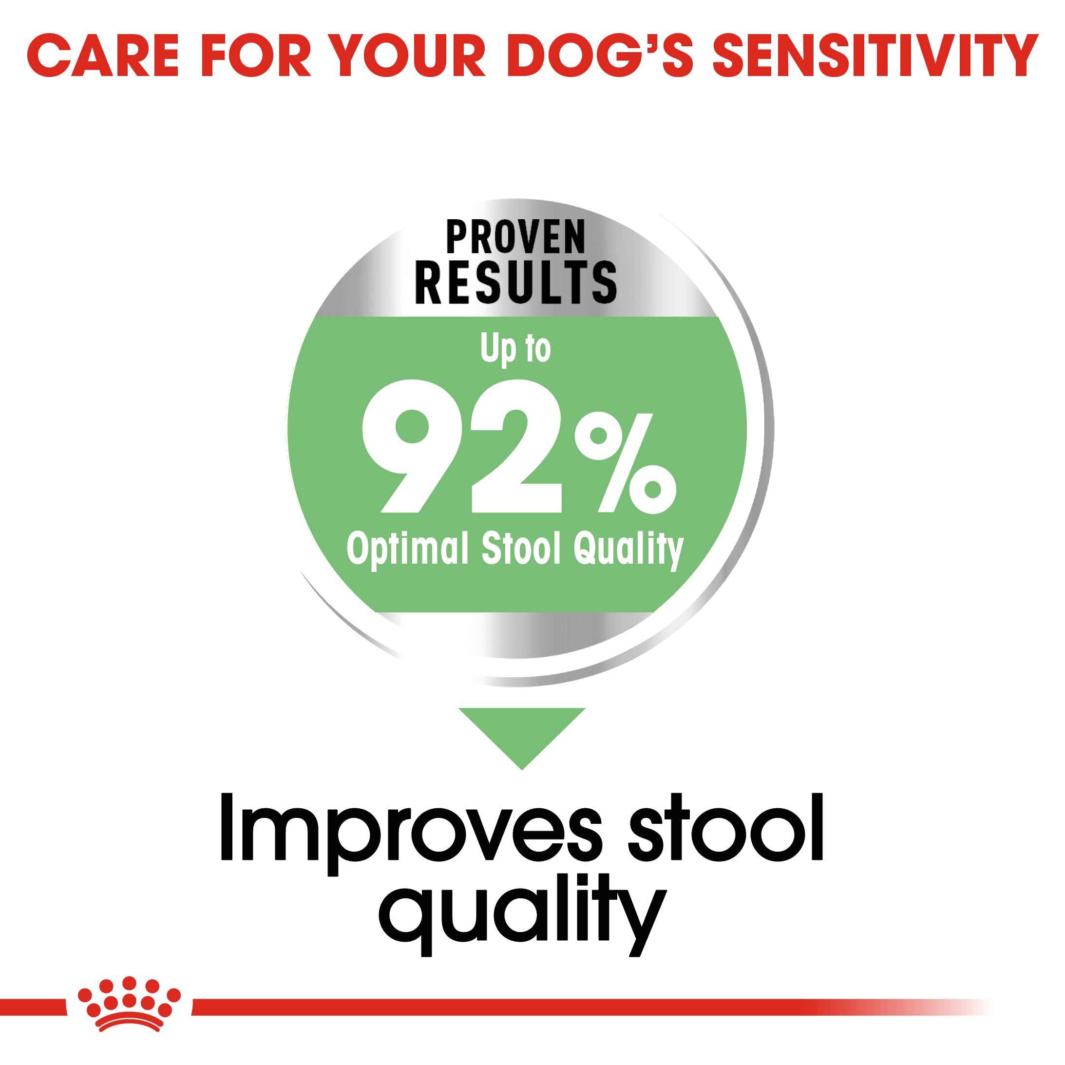 Royal Canin Mini Digestive Care (3 KG) - Dry food for small dogs up to 10 KG prone to digestive sensitivity. Over 10 months