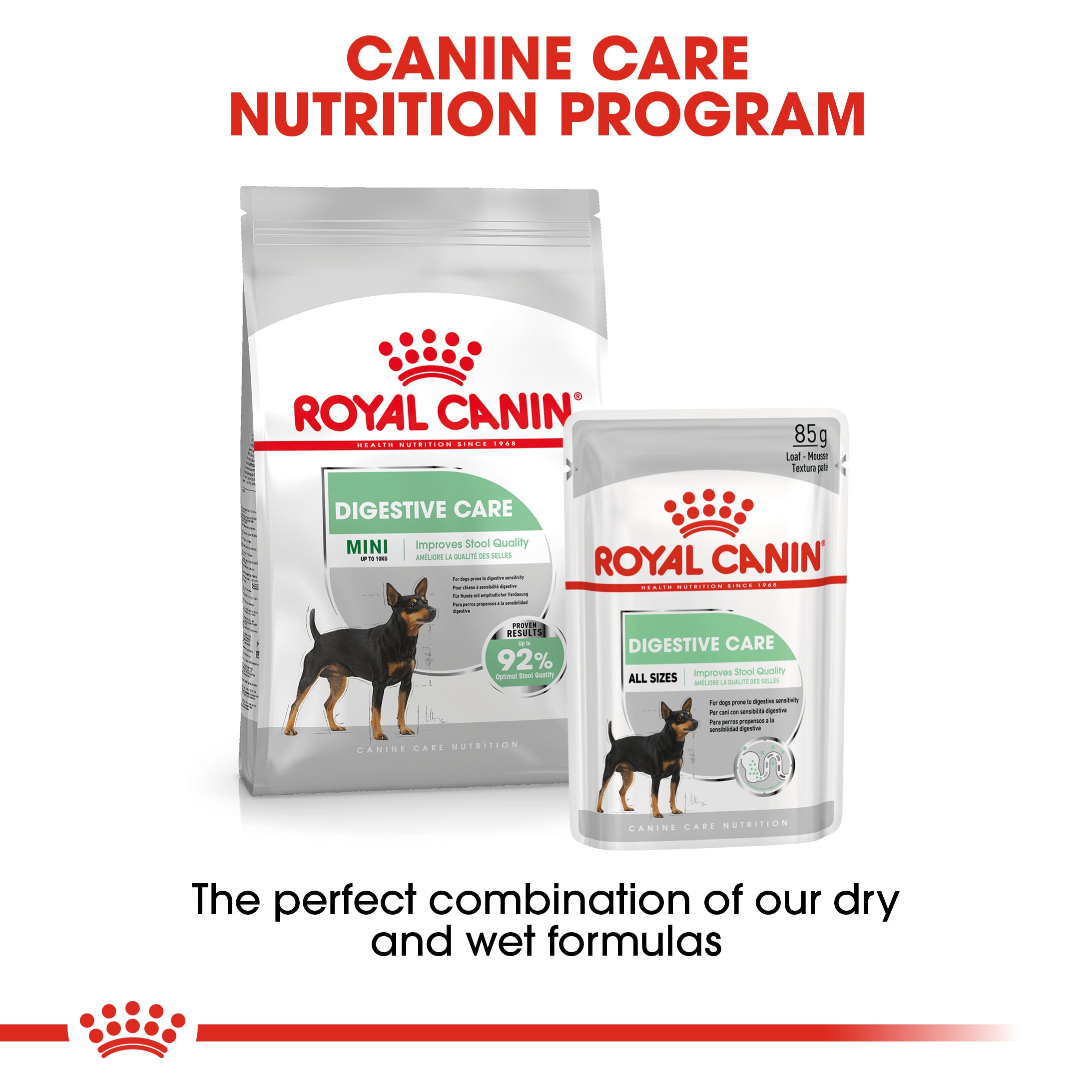 Royal Canin Mini Digestive Care (3 KG) - Dry food for small dogs up to 10 KG prone to digestive sensitivity. Over 10 months