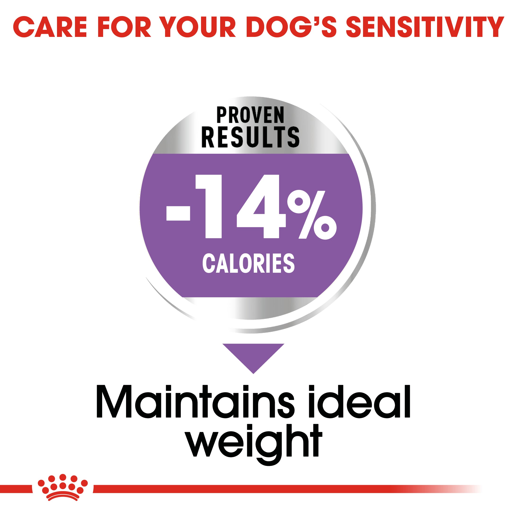 Royal Canin Mini Sterilised (3 KG) - Dry food for small dogs up to 10 KG. Over 10 months