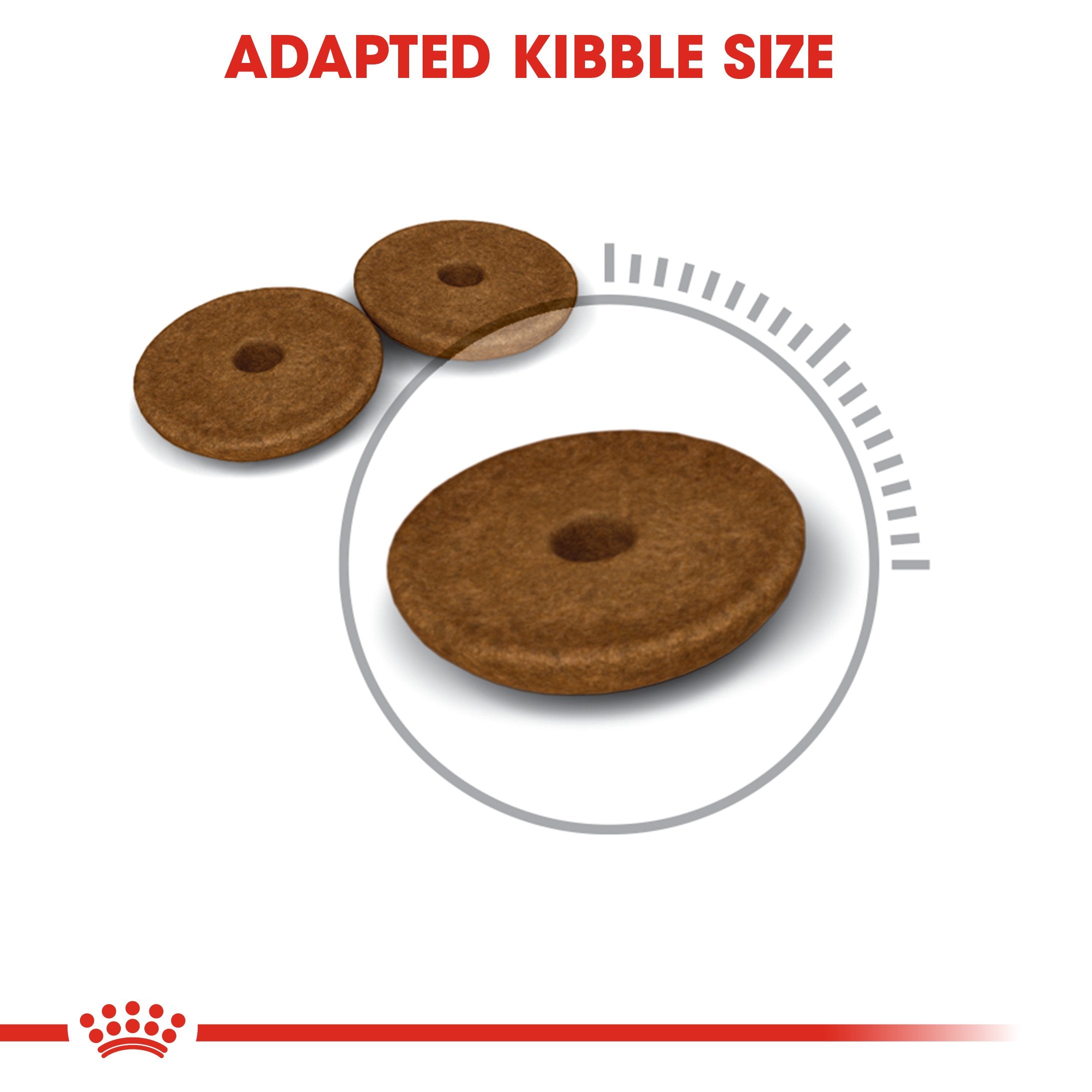 Royal Canin -Digestive care (2 KG) Dry food - Adult cats- help support healthy digestion - Amin Pet Shop