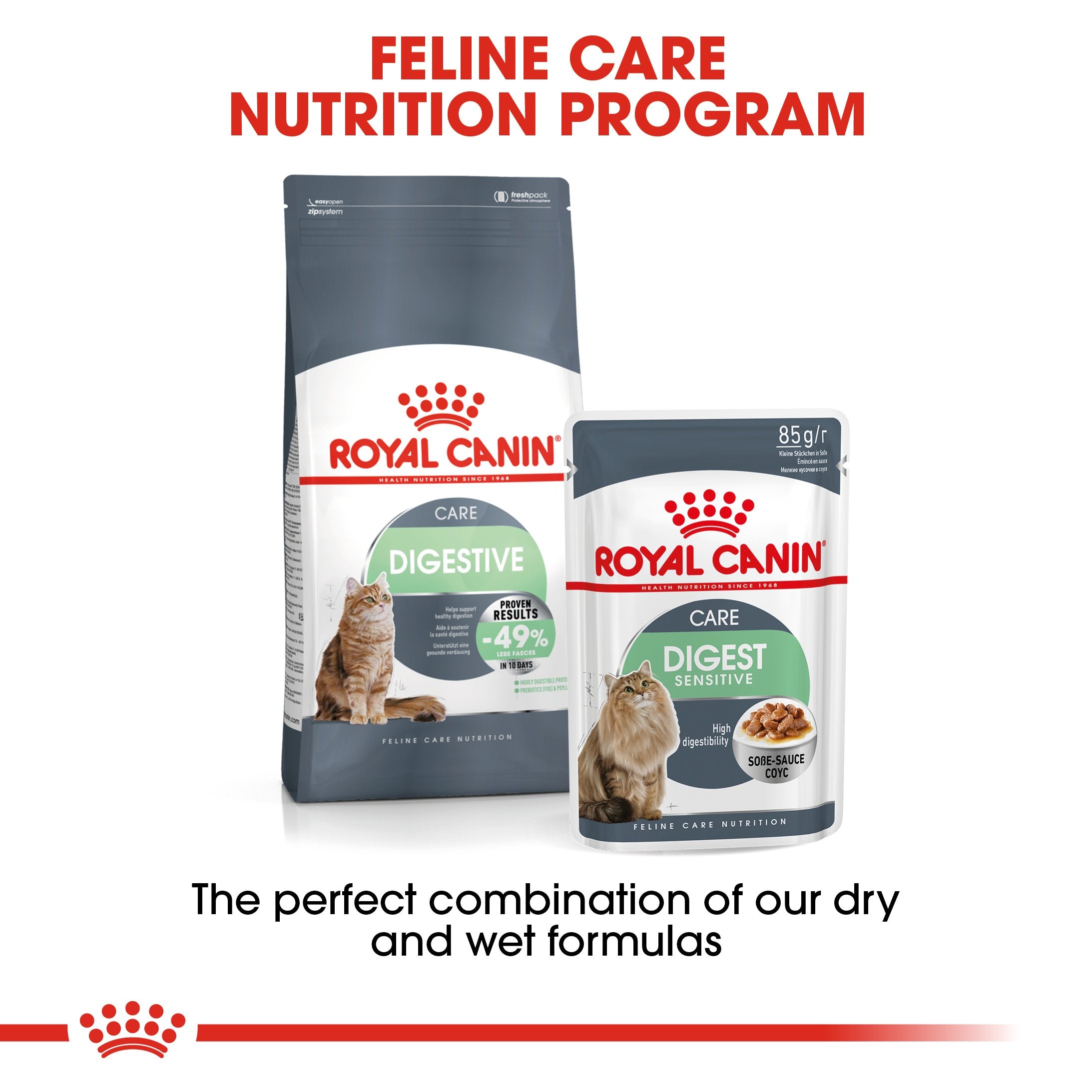 Royal Canin -Digestive care (2 KG) Dry food - Adult cats- help support healthy digestion - Amin Pet Shop