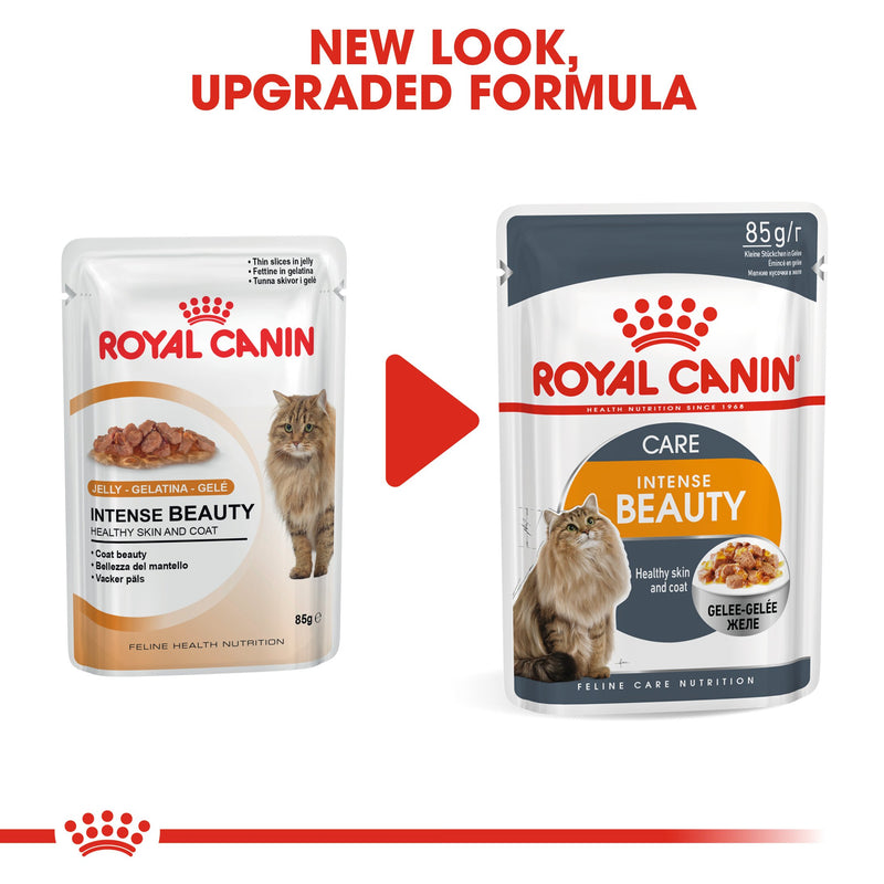 Royal Canin Intense Beauty in Jelly (85gm\Pouch) - Wet food for Adult cats - supports a healthy skin and shiny coat - Amin Pet Shop