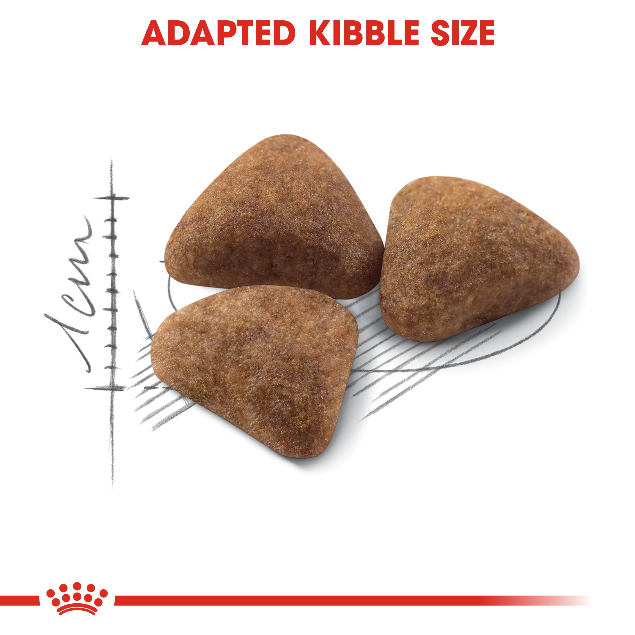 Royal Canin Indoor27 (2 KG) - Dry food for indoor adult cats