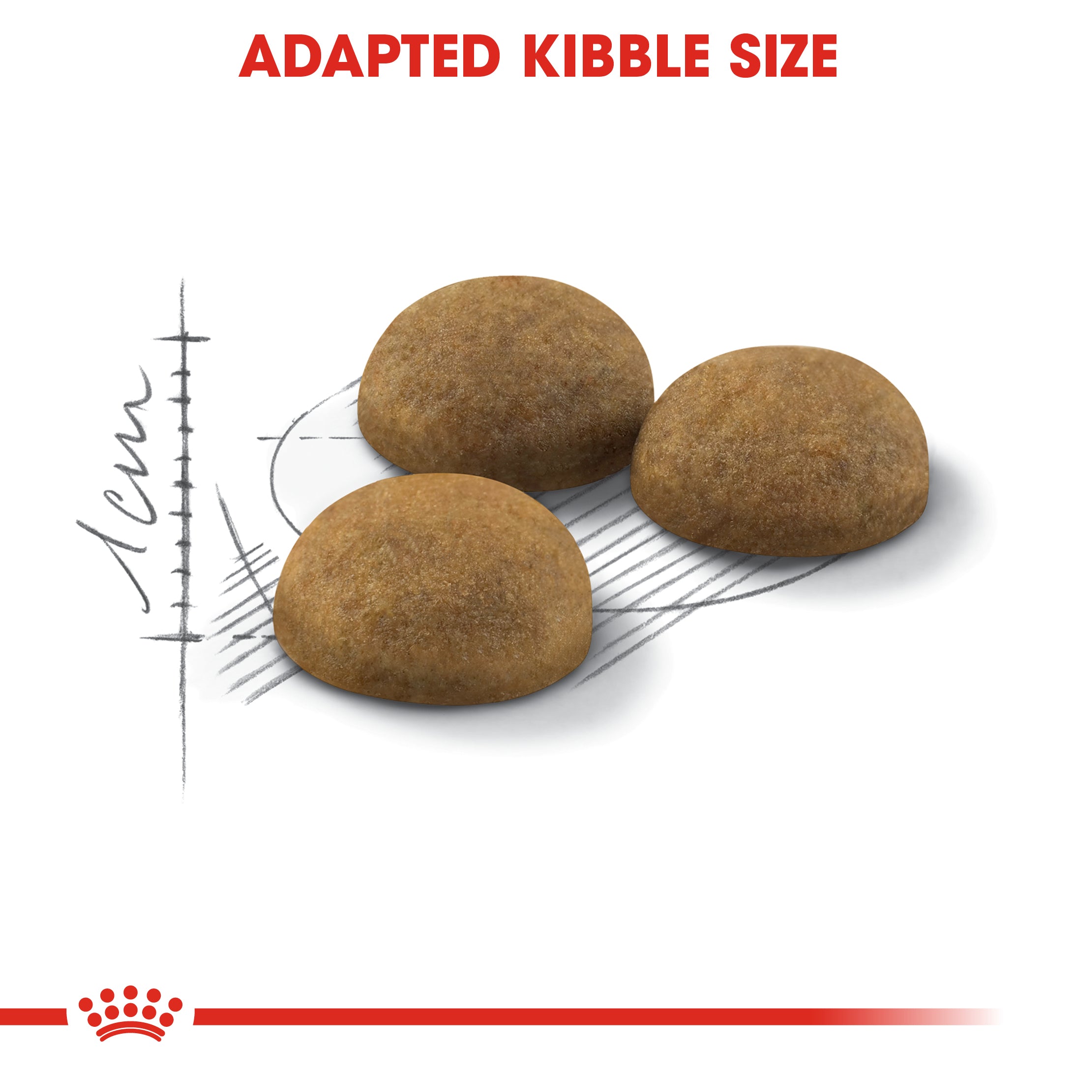 Royal Canin Indoor Long Hair (2 KG) - Dry Food for Indoor long-haired cats