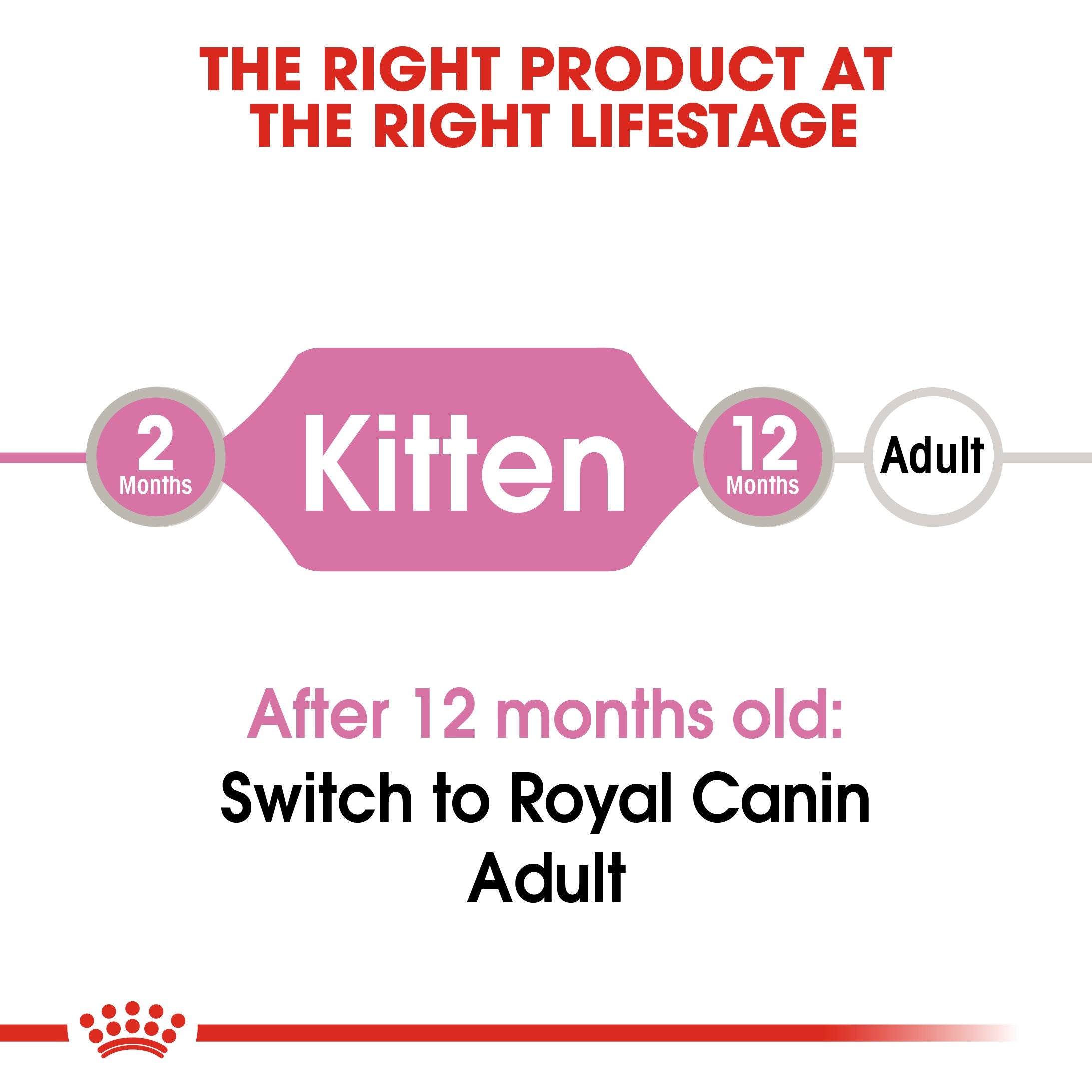 Royal Canin Kitten In Gravy (85gm\ Pouch) - wet food for kittens up to 12 months - Amin Pet Shop