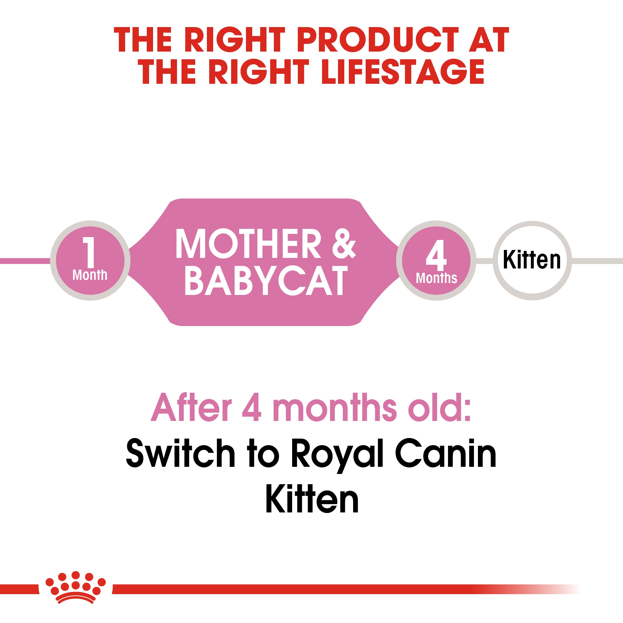 Royal Canin Mother Babycat-رويال كانين طعام جاف للأم والقطط الصغيرة
