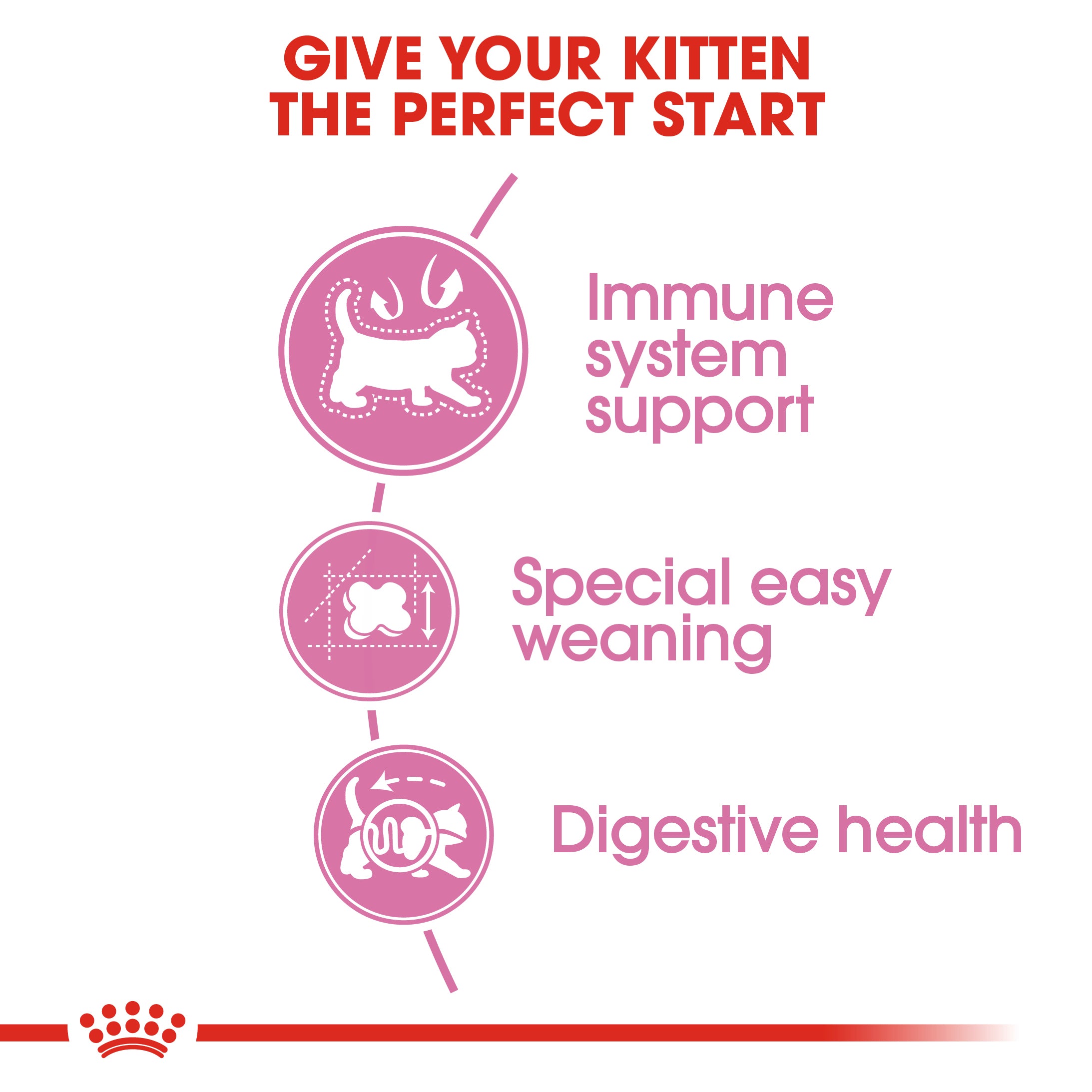 Royal Canin Mother Babycat-رويال كانين طعام جاف للأم والقطط الصغيرة
