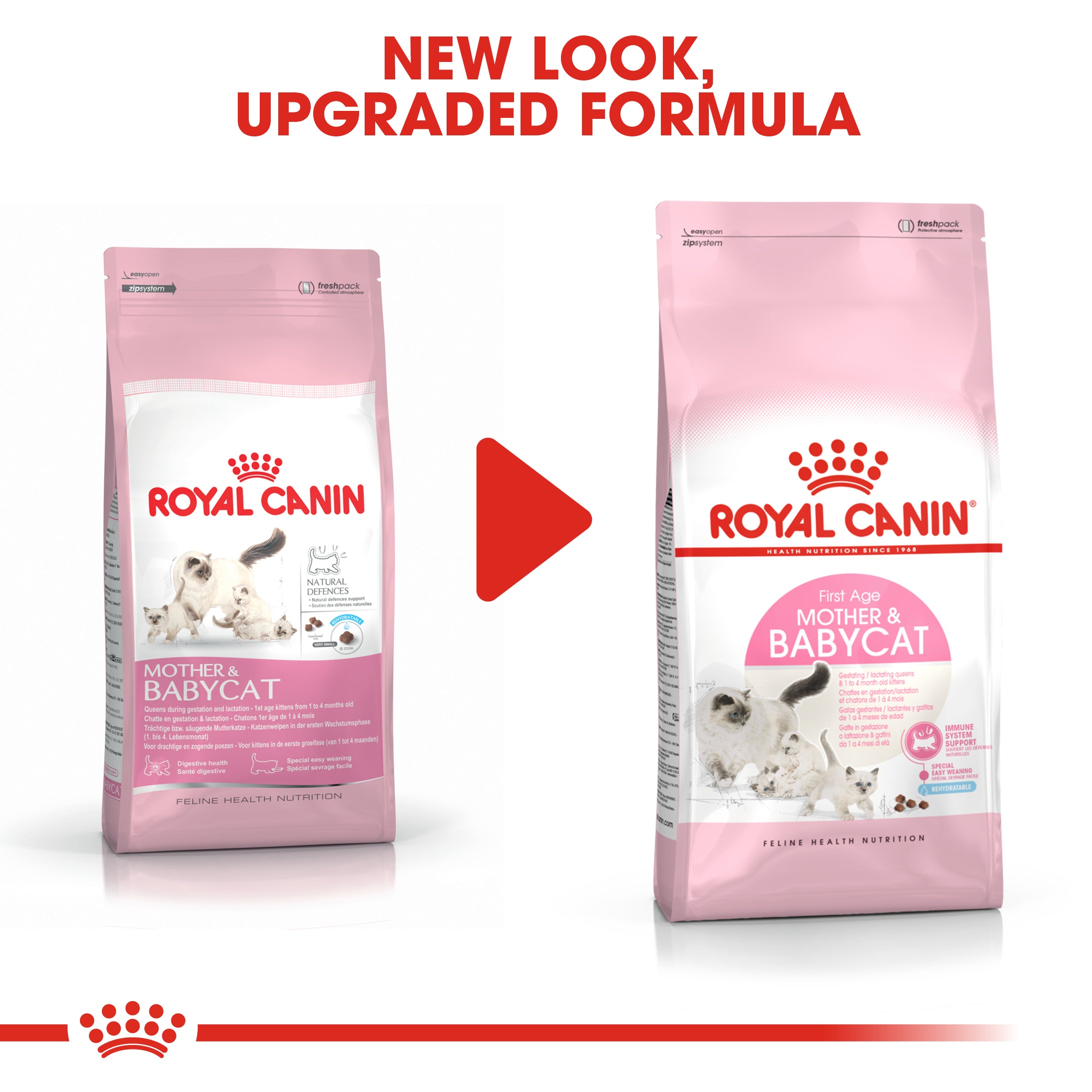 Royal Canin Mother Babycat-رويال كانين طعام جاف للأم والقطط الصغيرة