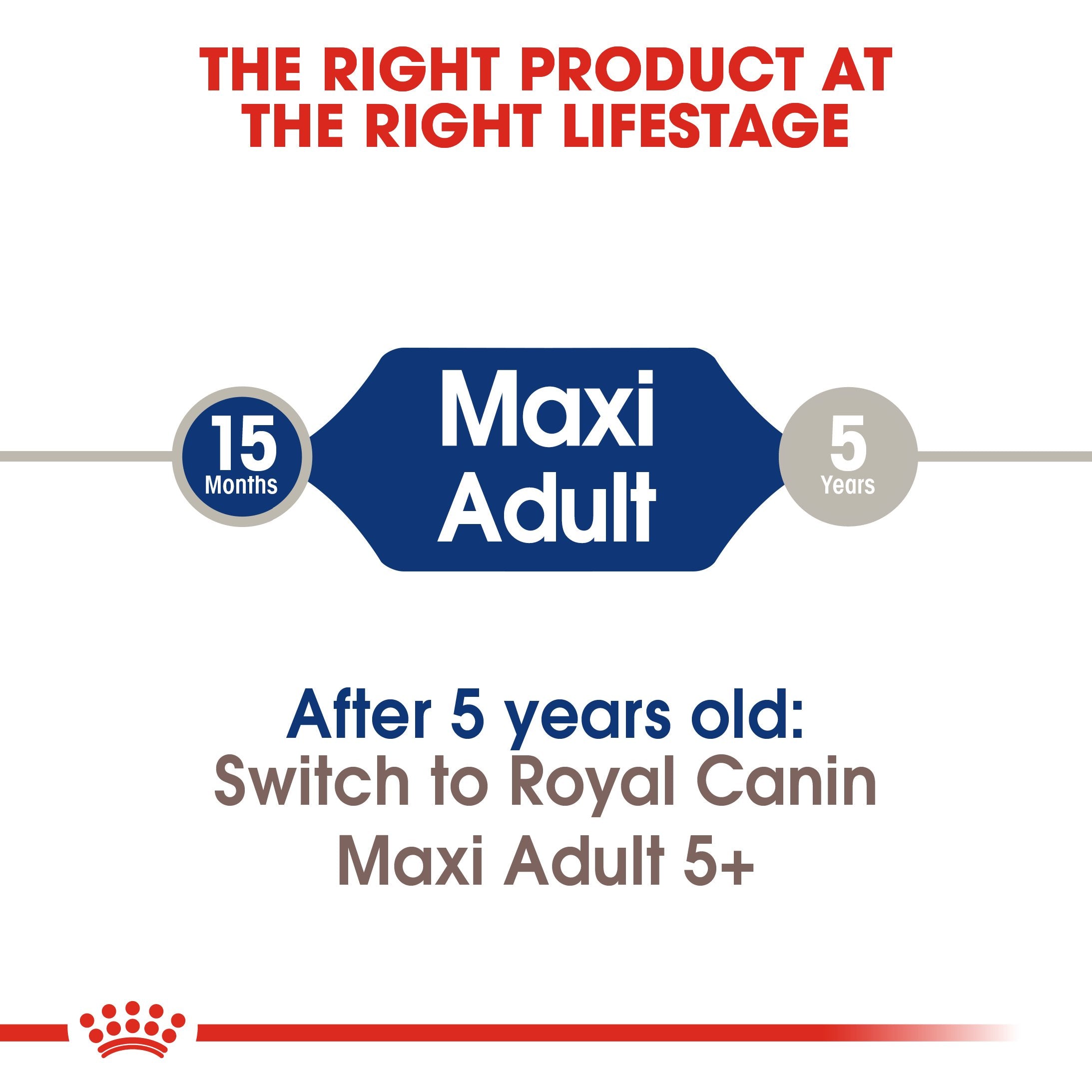 Royal Canin Maxi Adult (15 KG) - Dry food for large dogs from 26 to 44 KG. From 15 months to 5 years old - Amin Pet Shop