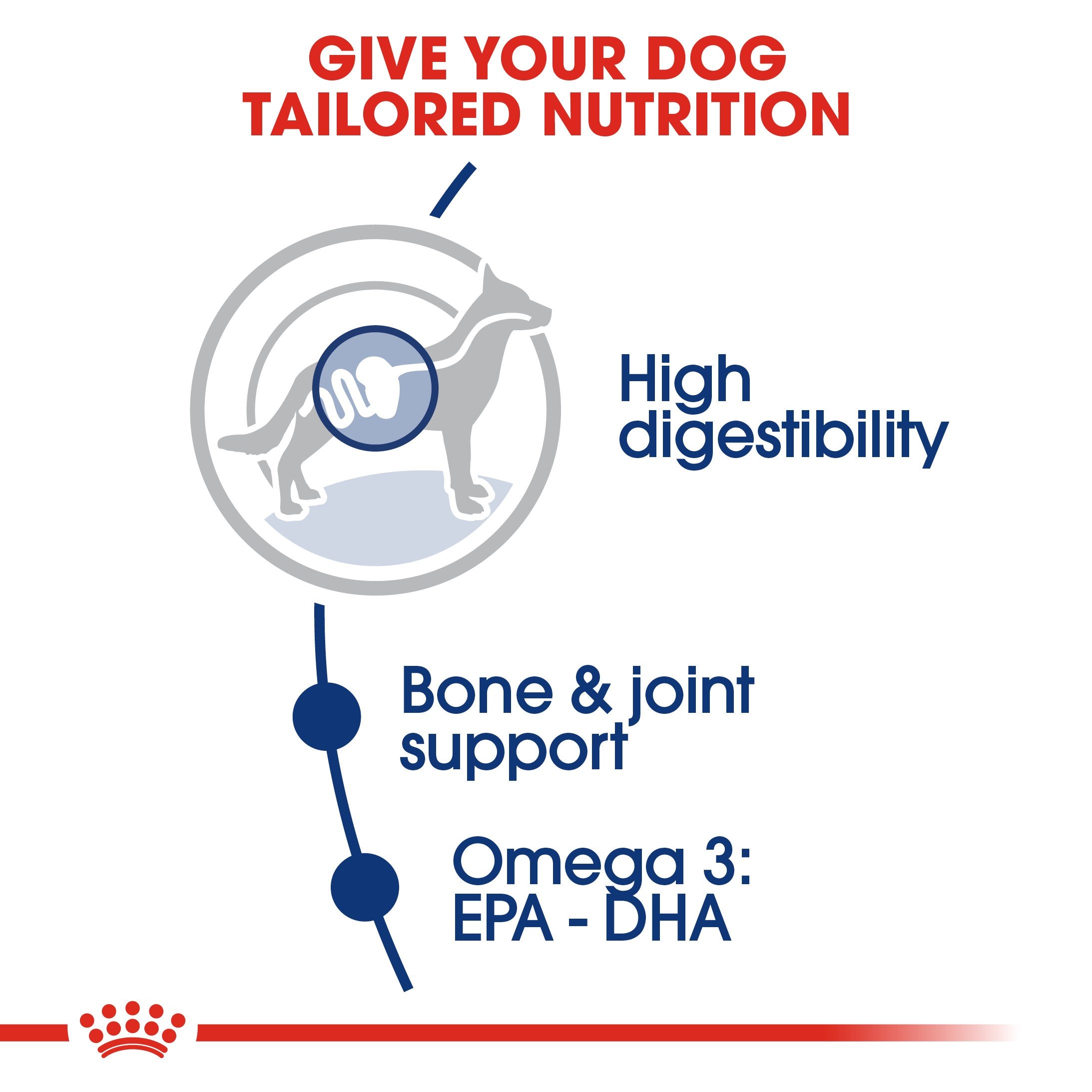Royal Canin Maxi Adult (15 KG) - Dry food for large dogs from 26 to 44 KG. From 15 months to 5 years old - Amin Pet Shop