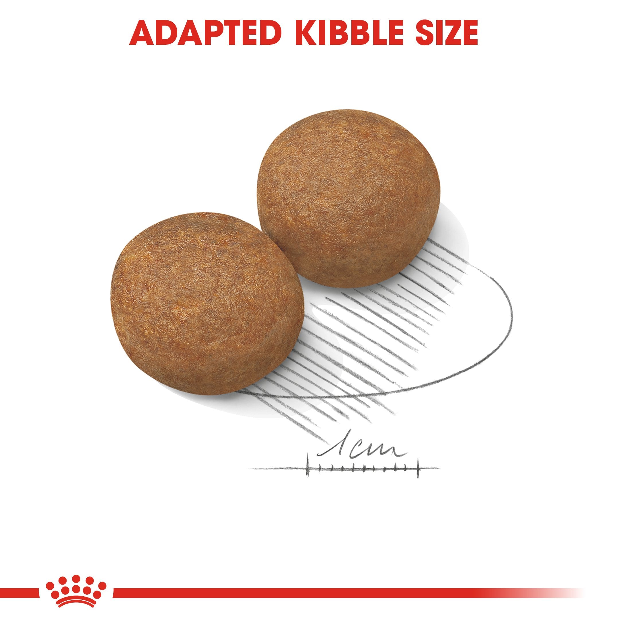 Royal Canin Maxi Adult (15 KG) - Dry food for large dogs from 26 to 44 KG. From 15 months to 5 years old - Amin Pet Shop