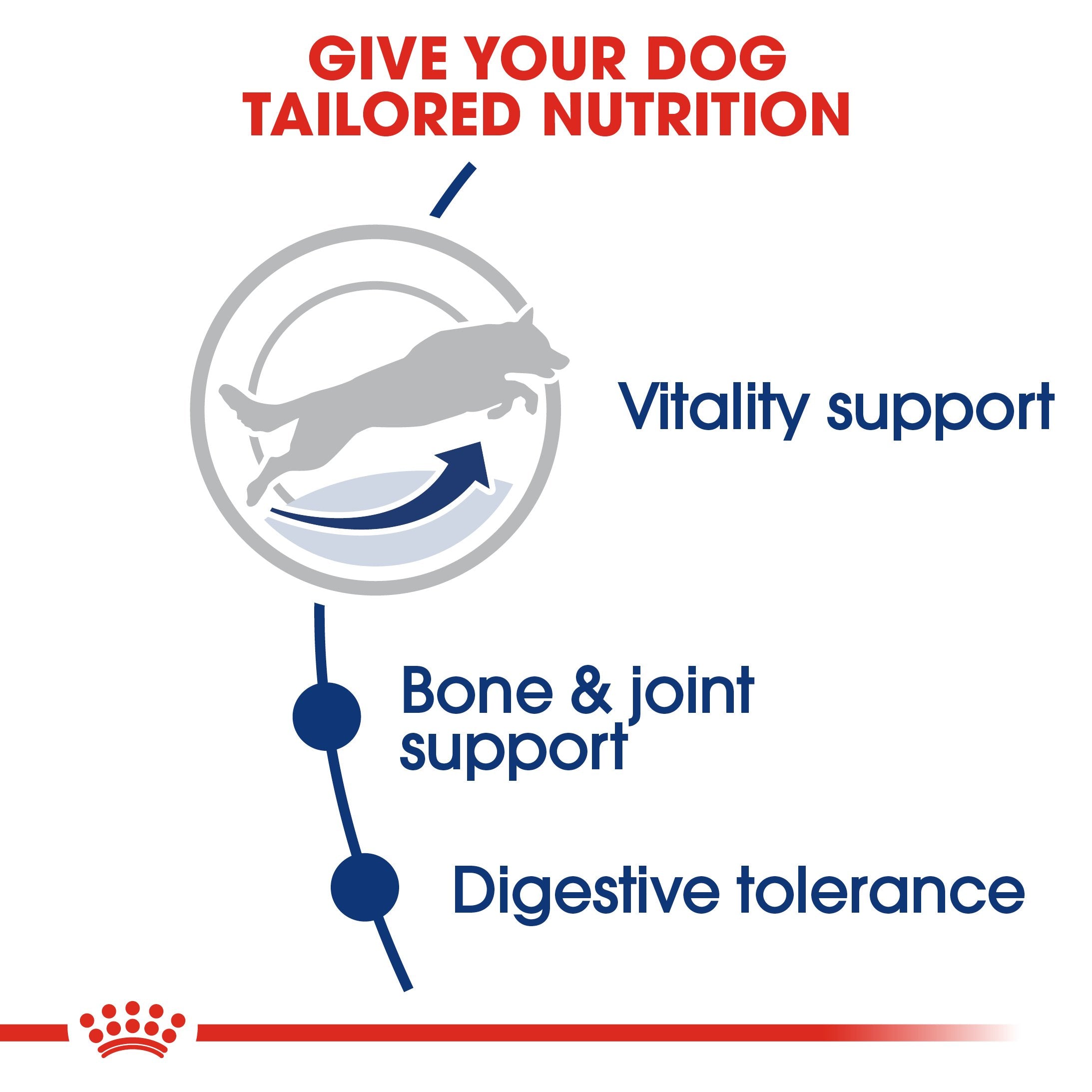 Royal Canin Maxi Adult 5+ (15 KG) - Dry food for large dogs from 26 to 44 KG. from 5 to 8 years old - Amin Pet Shop