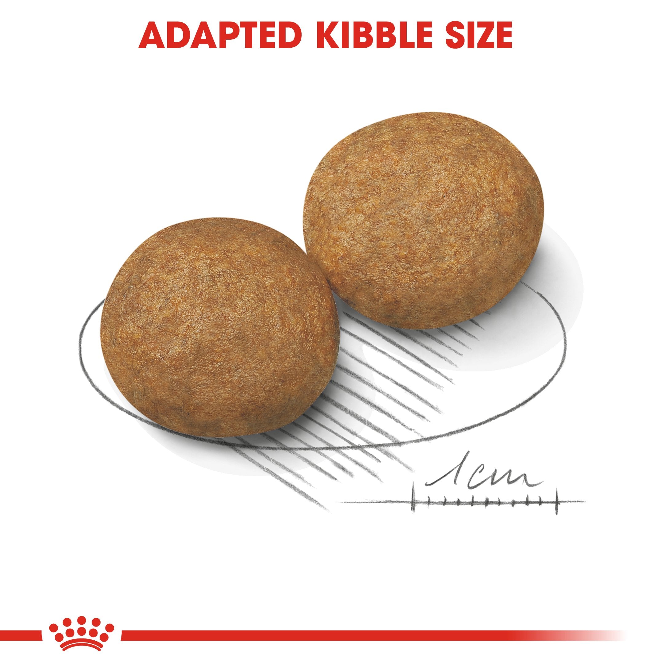 Royal Canin Medium Adult (15KG) - Dry food for medium dogs from 11 to 25 KG. From 12 months to 7 years - Amin Pet Shop