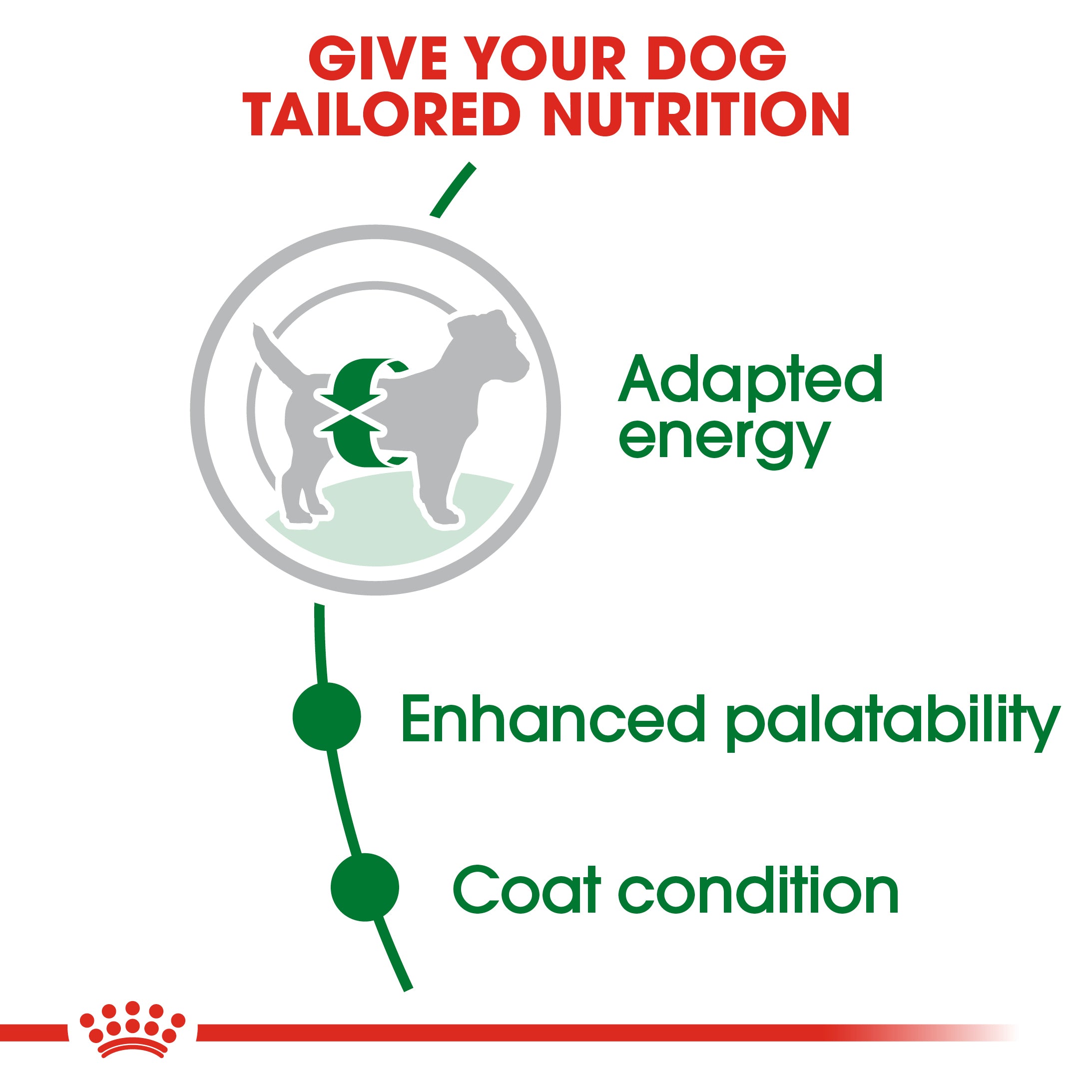 Royal Canin Mini Adult (4 KG) - Dry food for small dogs up to 10 KG - form 10 months to 8 years