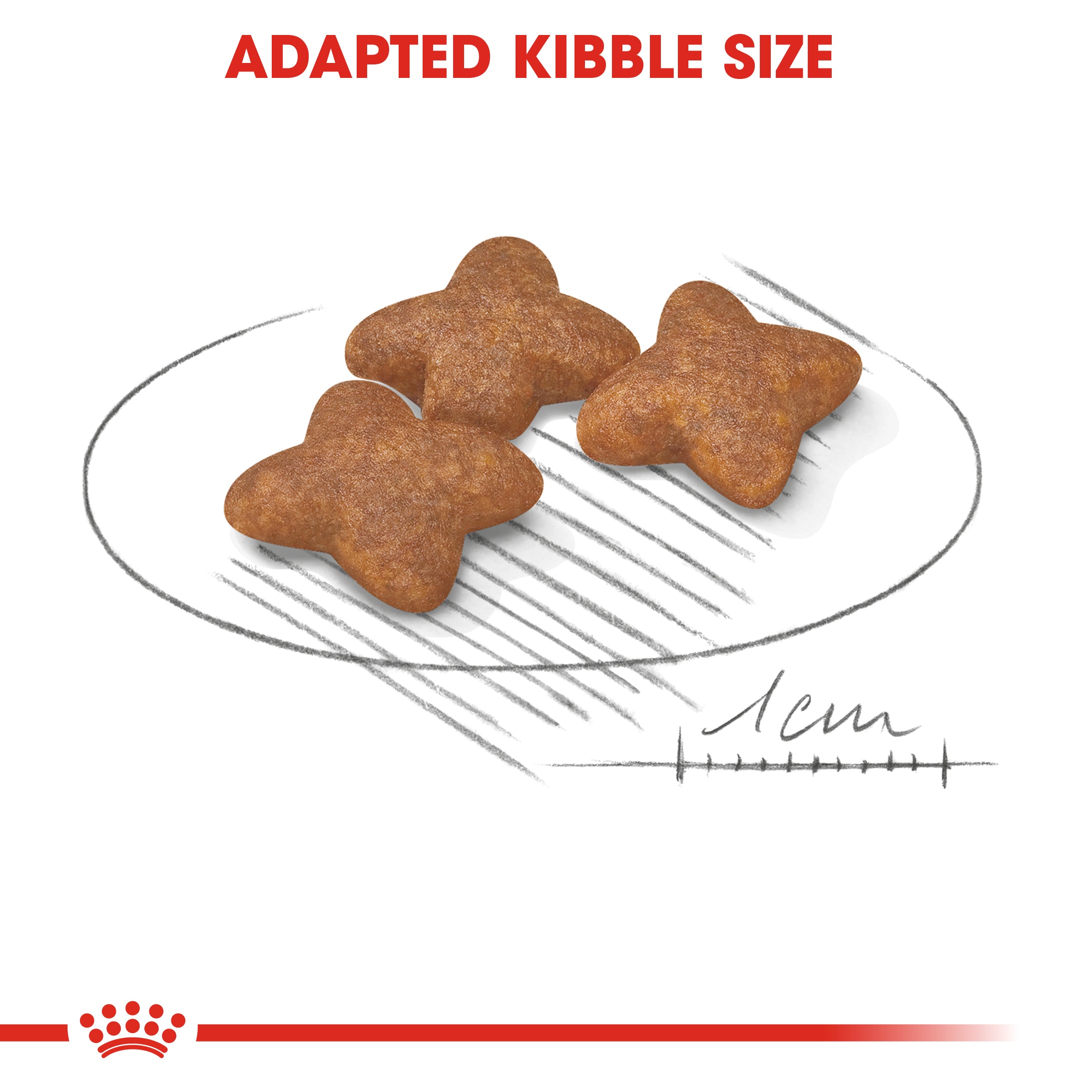 Royal Canin Mini Adult (4 KG) - Dry food for small dogs up to 10 KG - form 10 months to 8 years