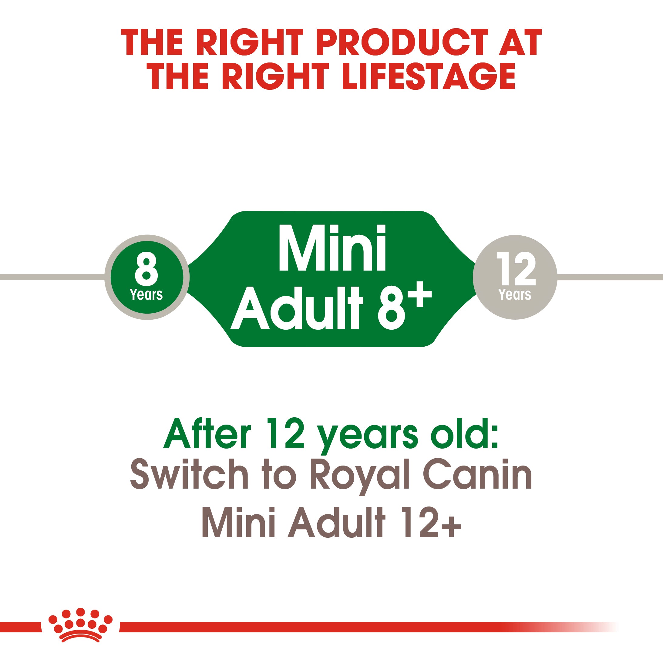 Royal Canin Mini Adult 8+ (2 KG) - Dry food for small dogs up to 10 KG - from 8 to 12 years
