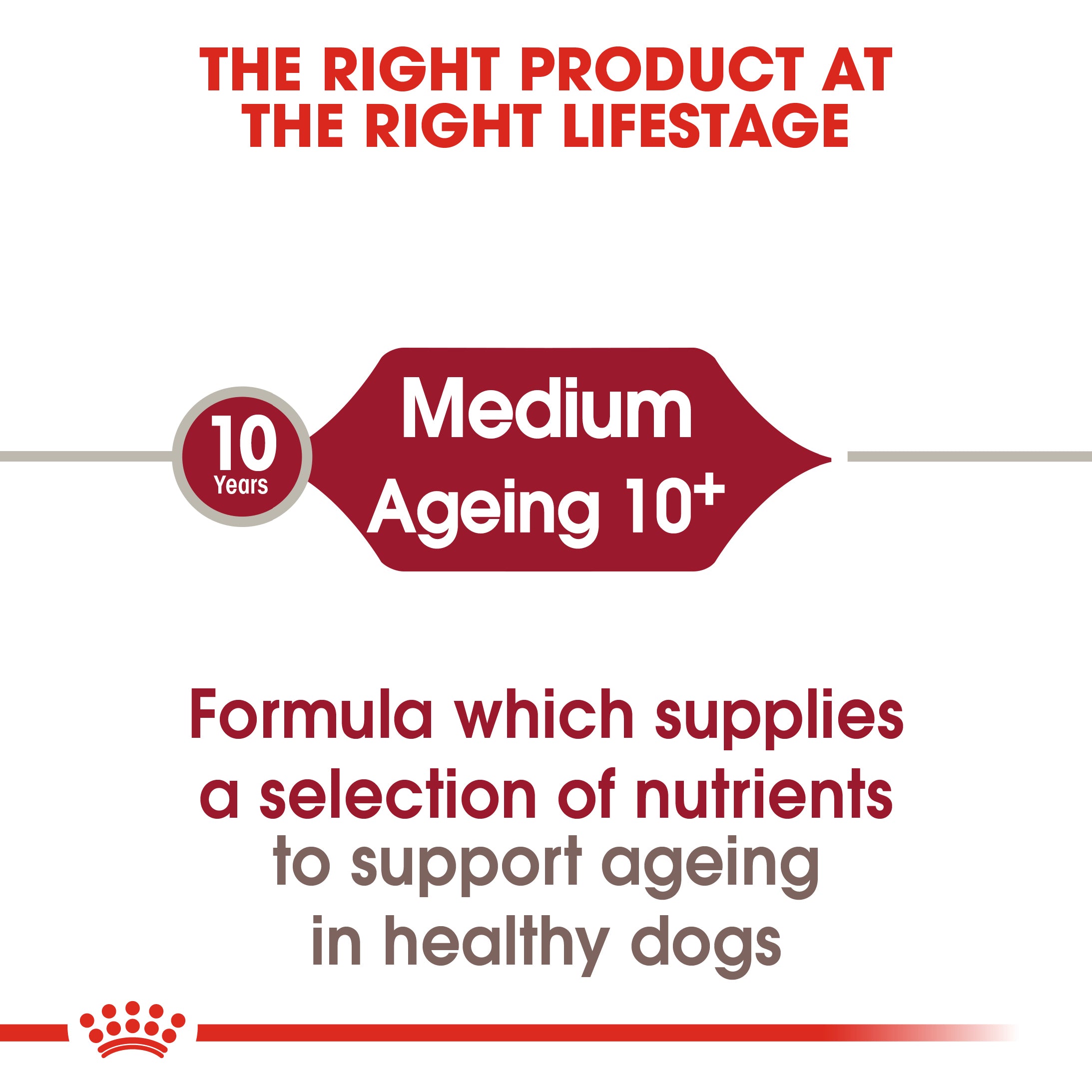 Royal Canin Medium Ageing 10+ (3 KG)- Dry food for medium dogs from 11 to 25 KG. over 10 years