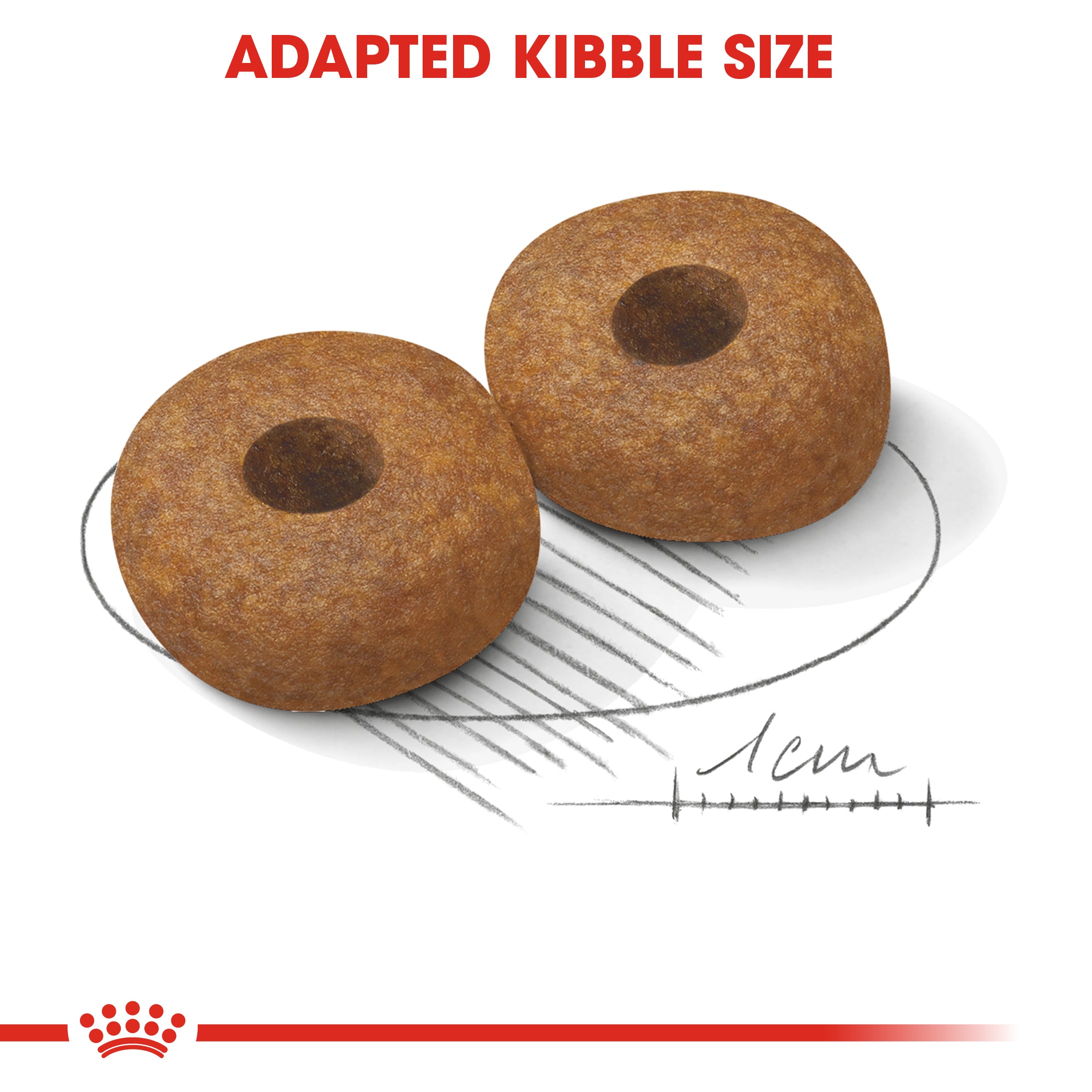 Royal Canin Medium Ageing 10+ (3 KG)- Dry food for medium dogs from 11 to 25 KG. over 10 years