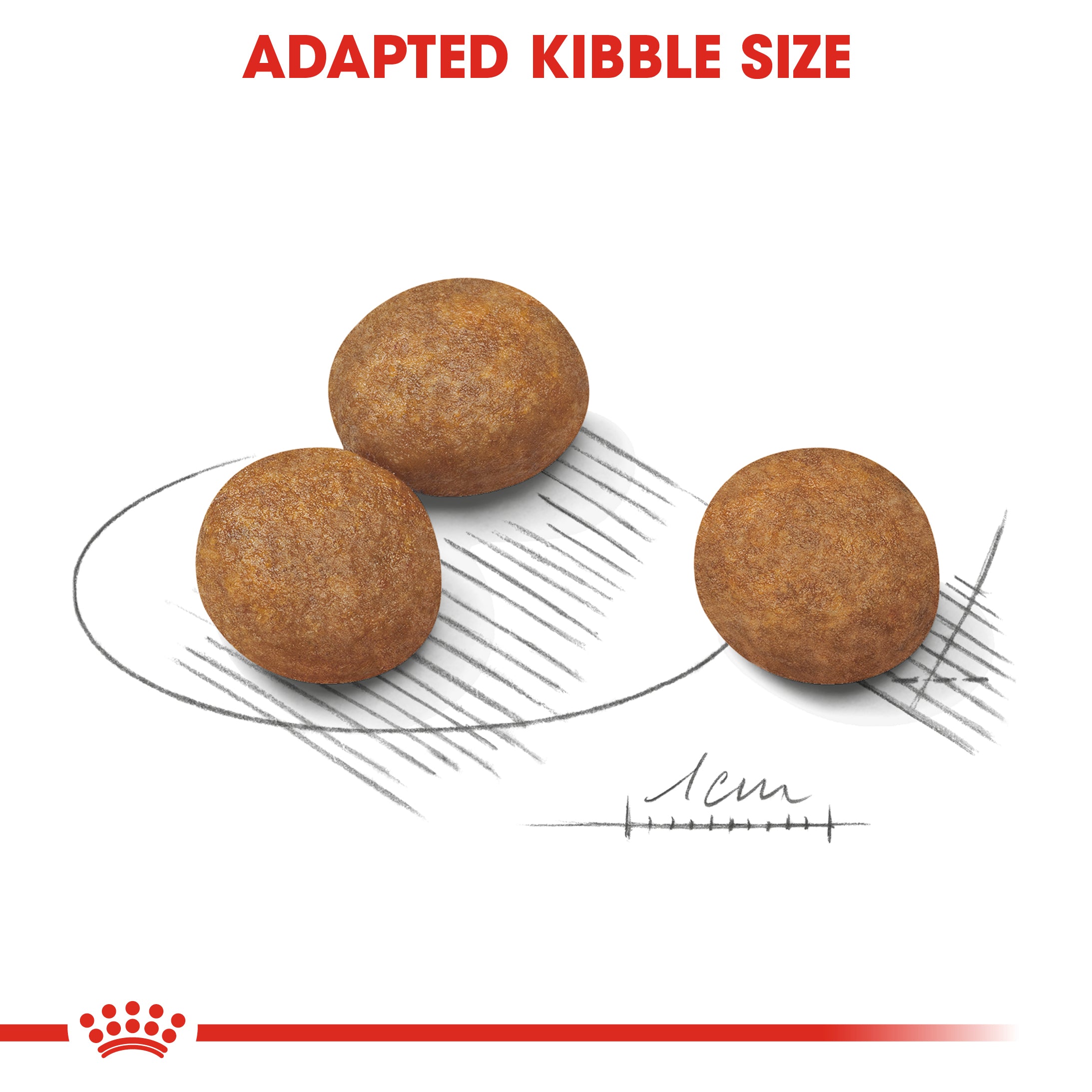 Royal Canin Maxi Puppy (4 KG) - Dry food for large dogs - Adult weight from 26 to 44 KG. From 2 to 15 months