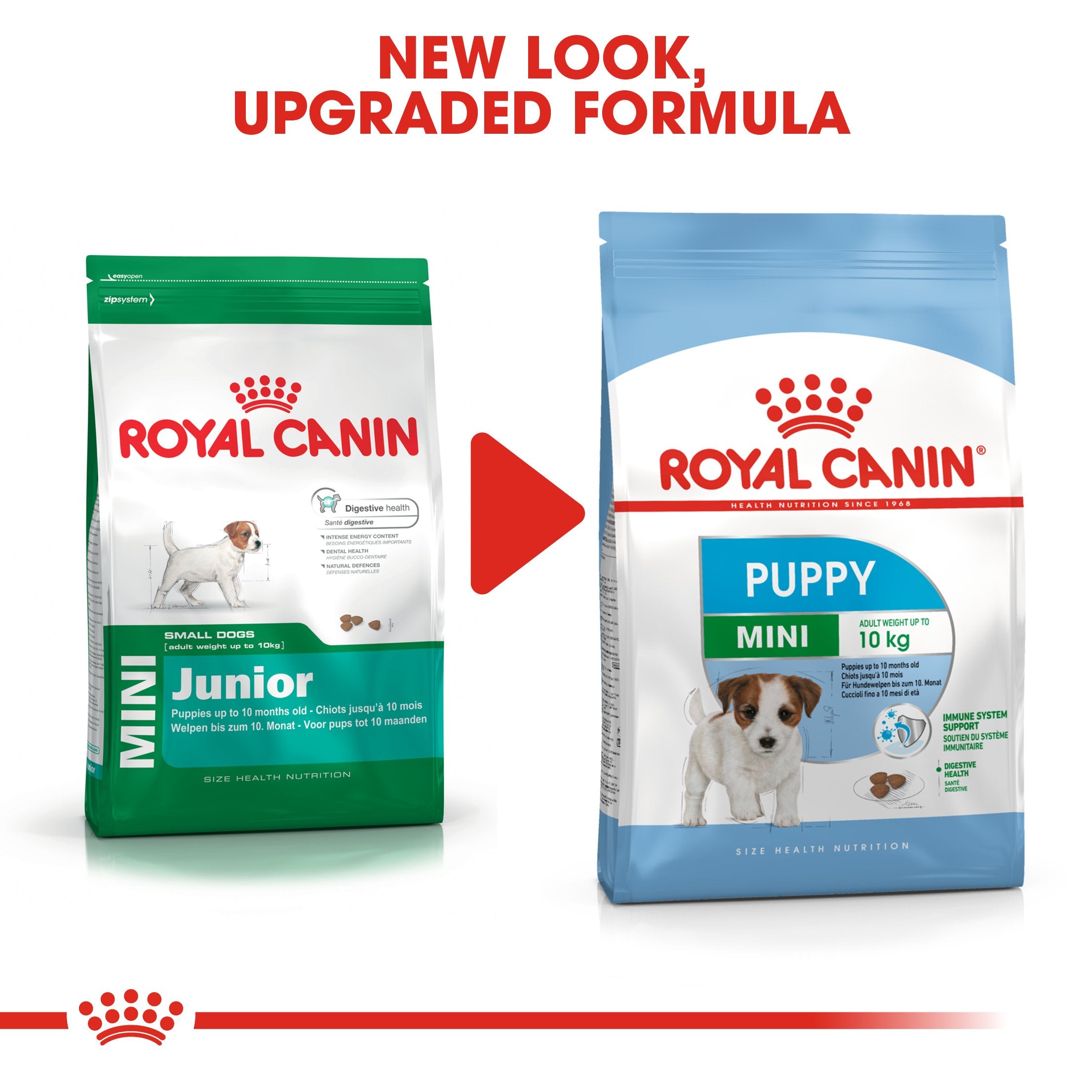 Royal Canin Mini Puppy (4KG) - Dry food for small dogs - Adult weight up to 10 KG From 2 to 10 months old