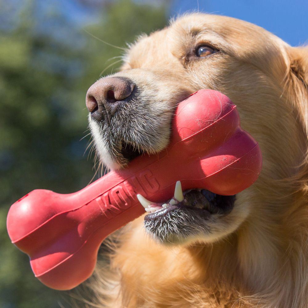KONG® Goodie Bone™ - Amin Pet Shop