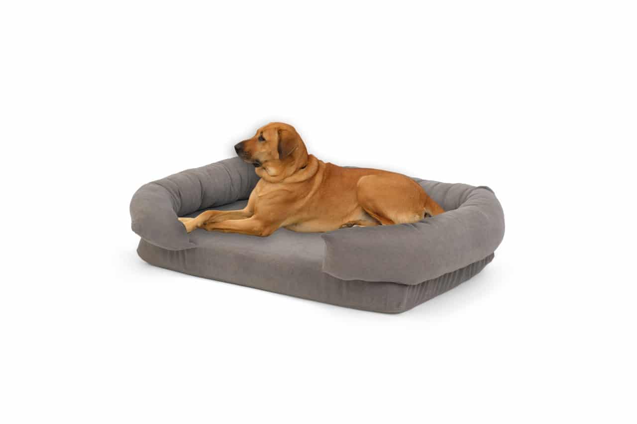 Soft Foam Pet Couch - Rabbinic