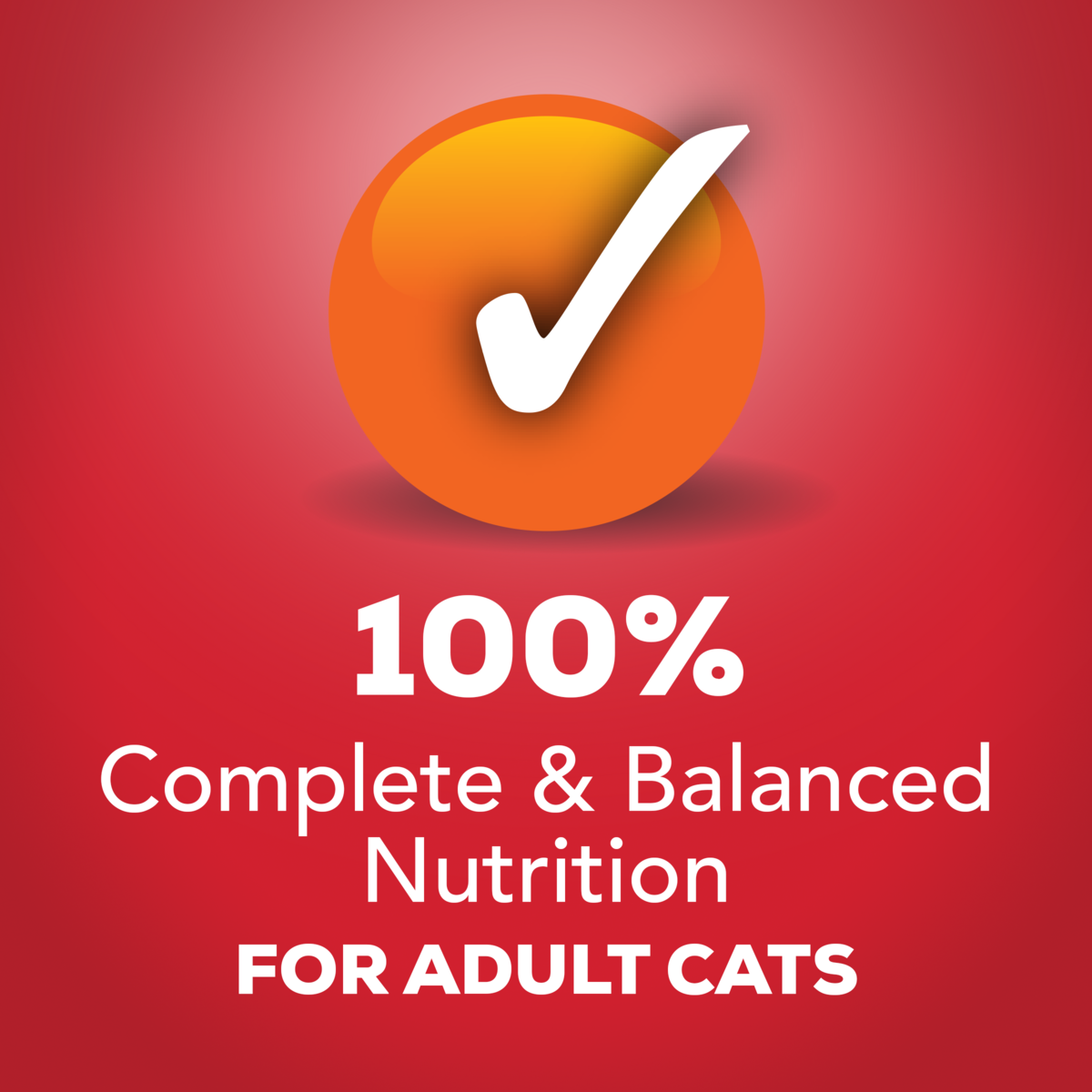 Friskies Prime Filets With Beef In Gravy Wet Cat Food 156g