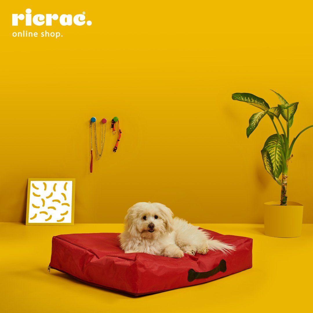 Raty- Waterproof Durable & Lightweight Pets Bed