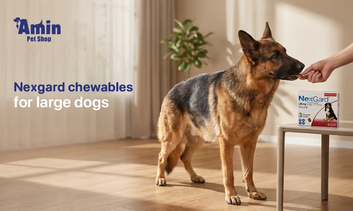 NexGard Chewables for Large Dogs: The Complete Owner's Guide