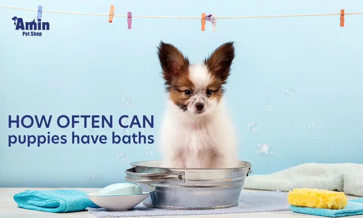 How Often Should Puppies Take a Bath?