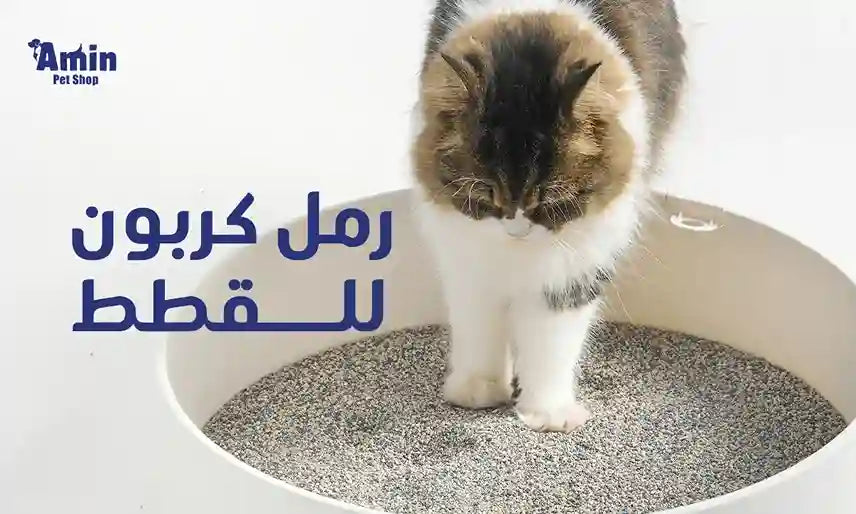 رمل كربون للقطط